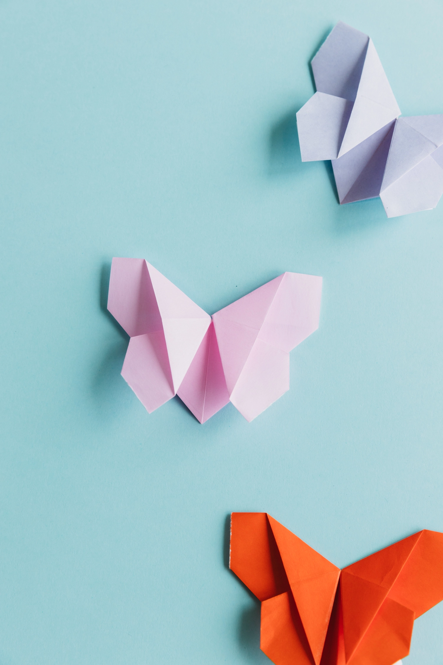 origami butterfly | Origami Ok