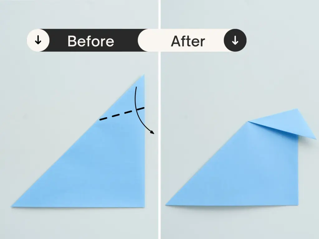Inside Reverse Fold | origami ok 