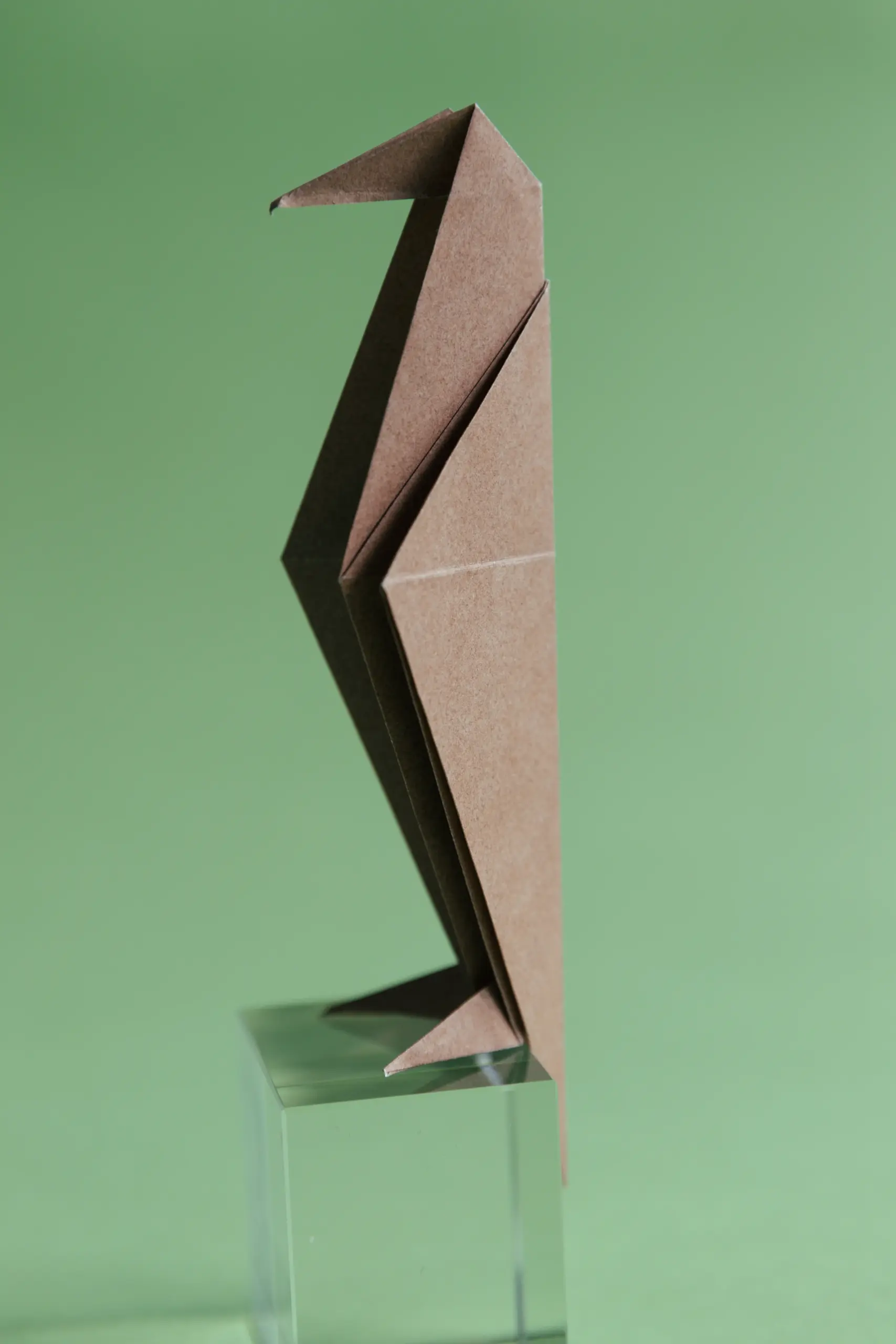 origami crow | Origami Ok