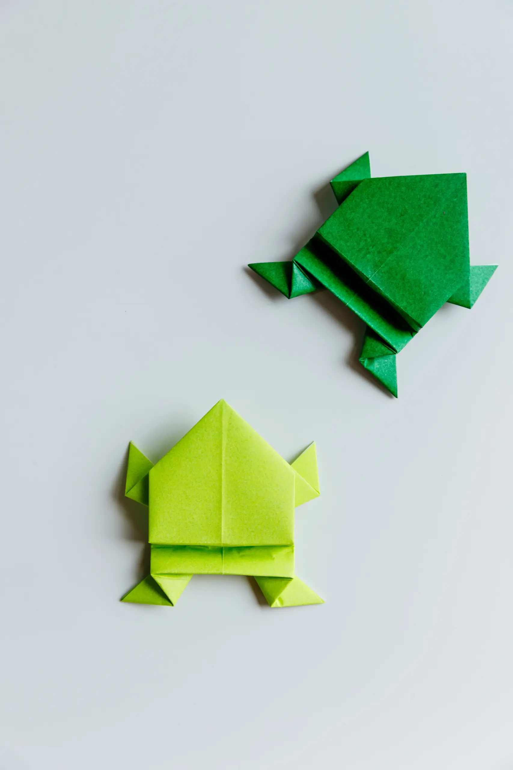 origami frog | origami ok