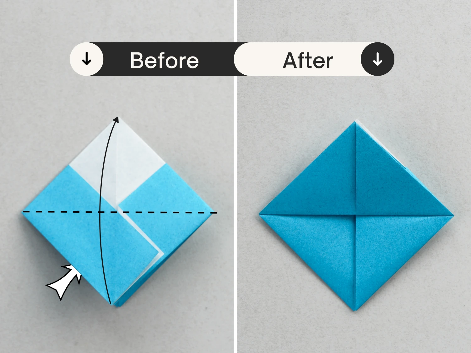 origami snapper | Origami Ok