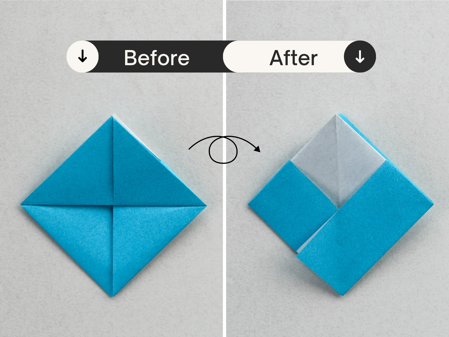 origami snapper | Origami Ok