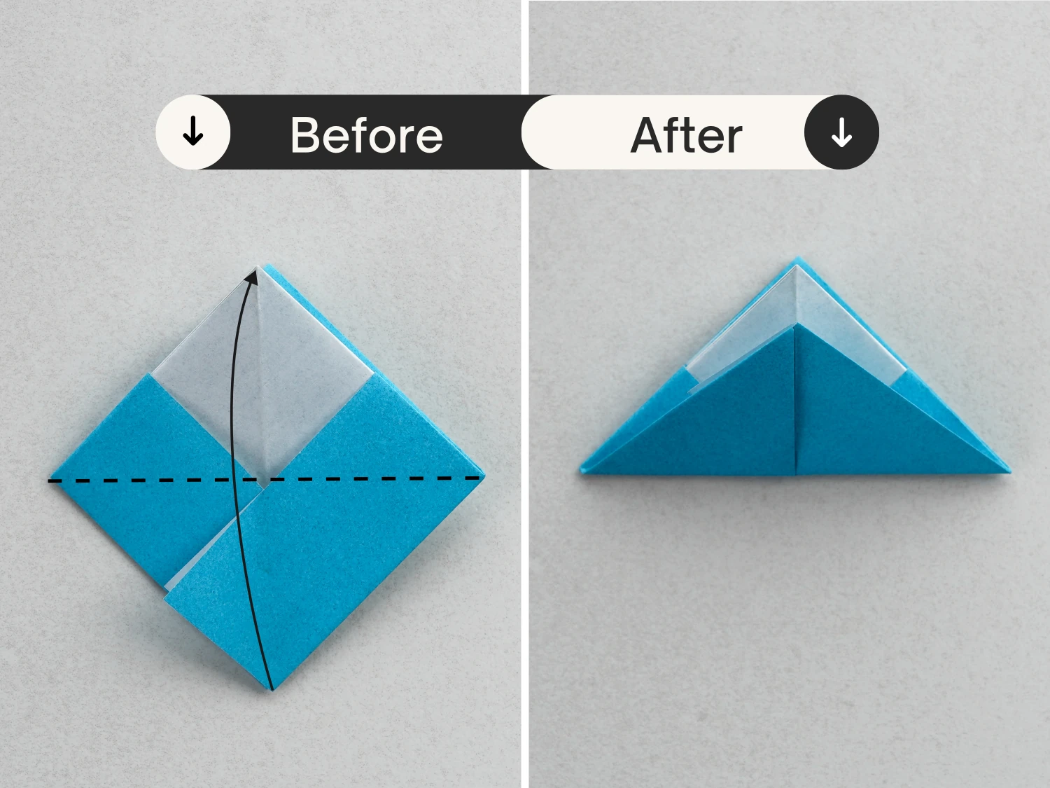 origami snapper | Origami Ok