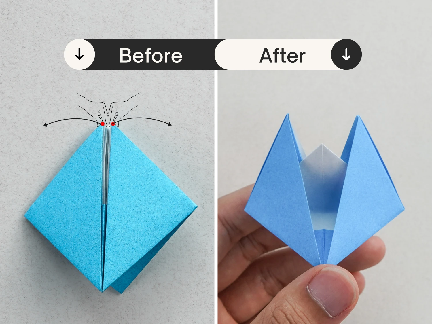 origami snapper | Origami Ok