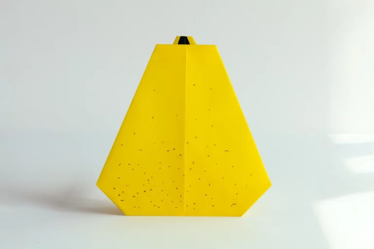 How to Fold an Easy Origami Pear