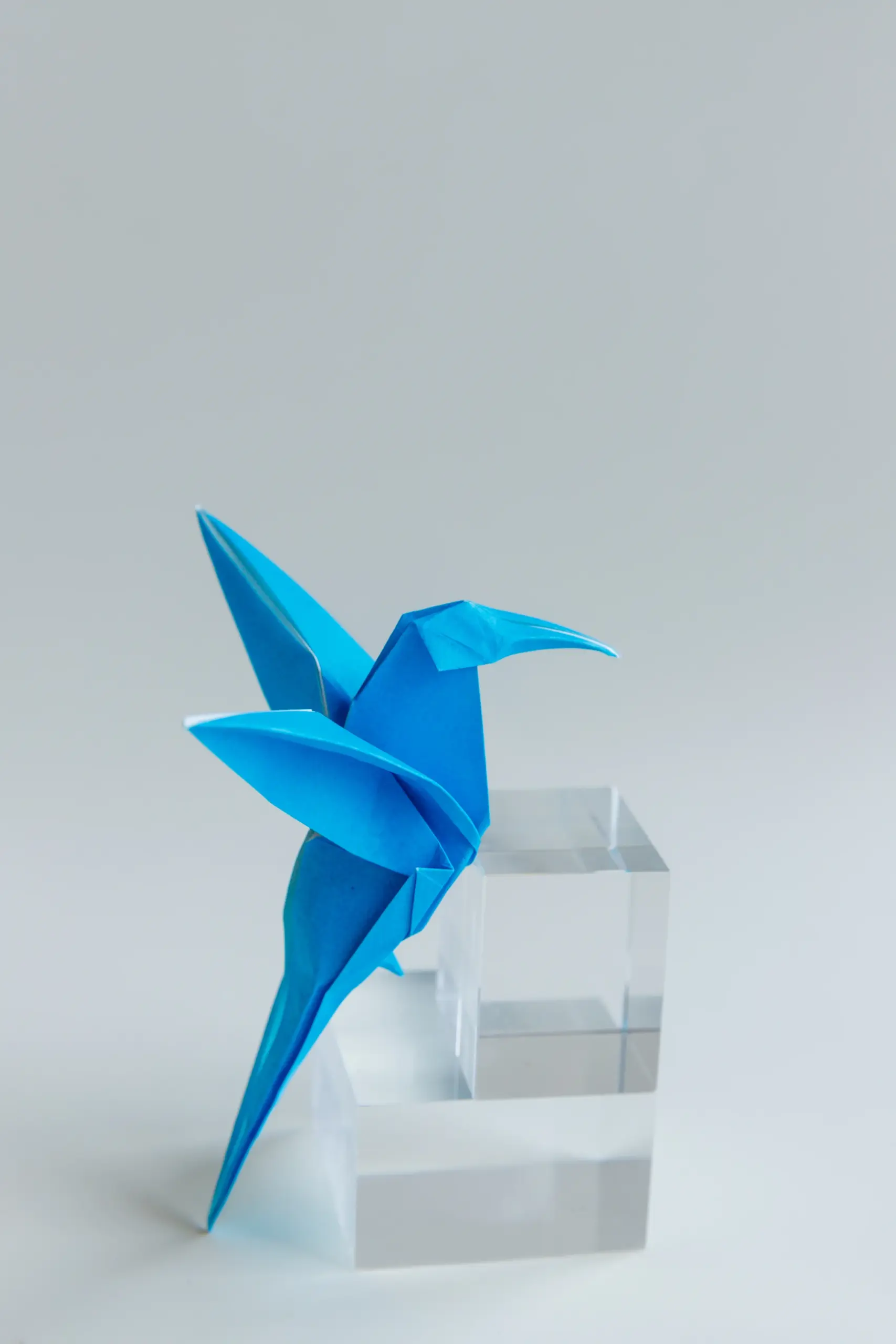 origami Hummingbird | Origami Ok