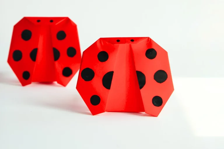 How to Fold an Easy Origami Ladybug