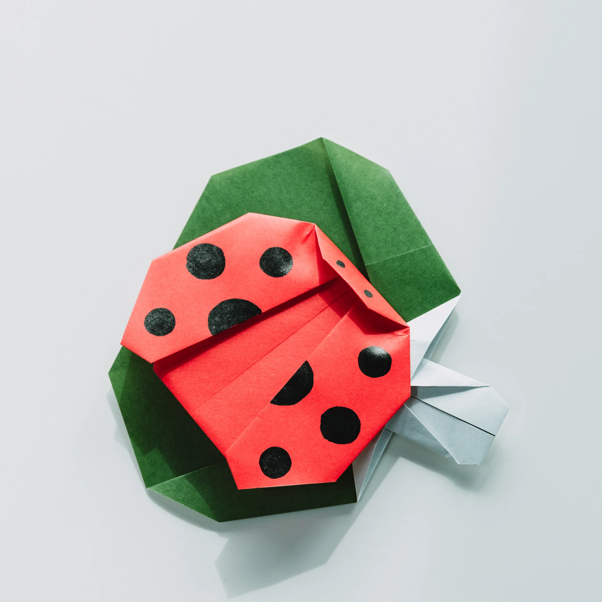 Origami Ladybird | Origamiok.com