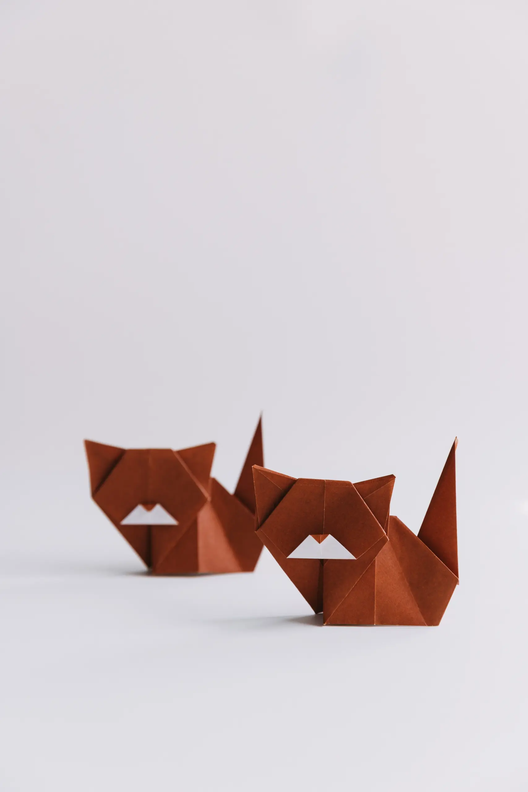 origami cat| origamiok.com