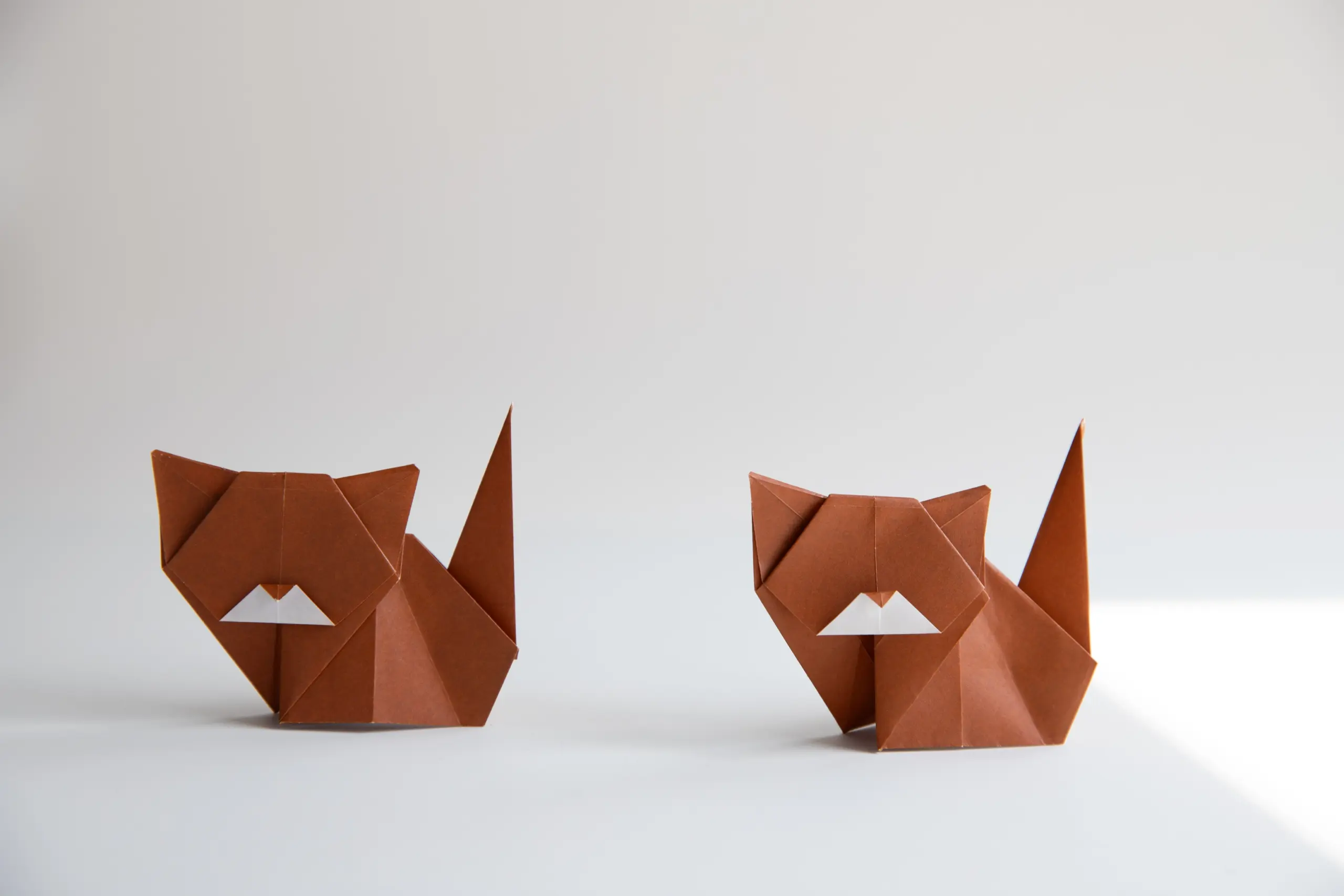 origami cat| origamiok.com