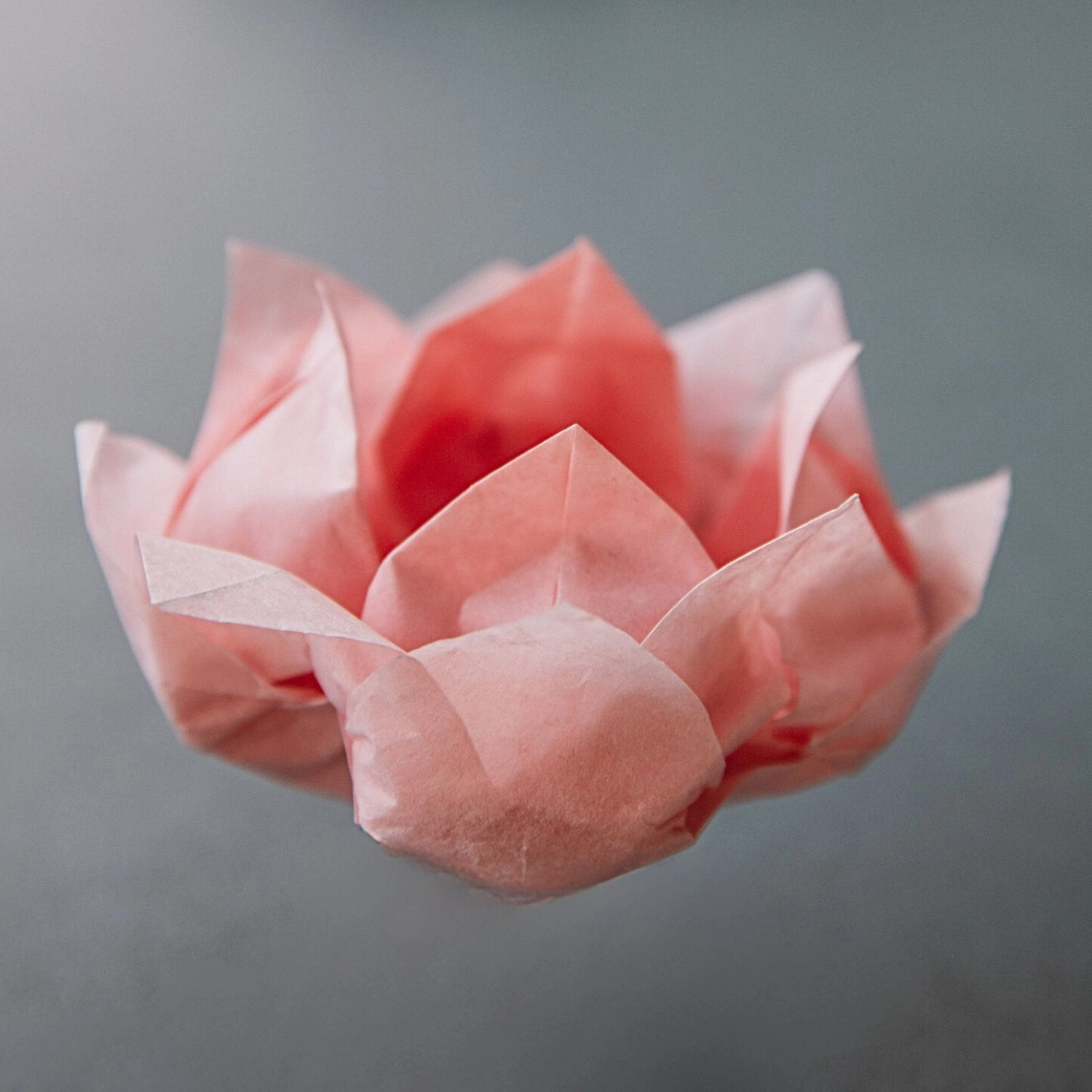 origami lotus flower | origamiok.com