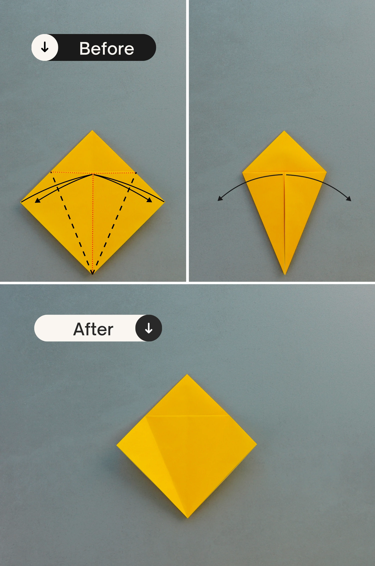 origami parrot| origamiok.com