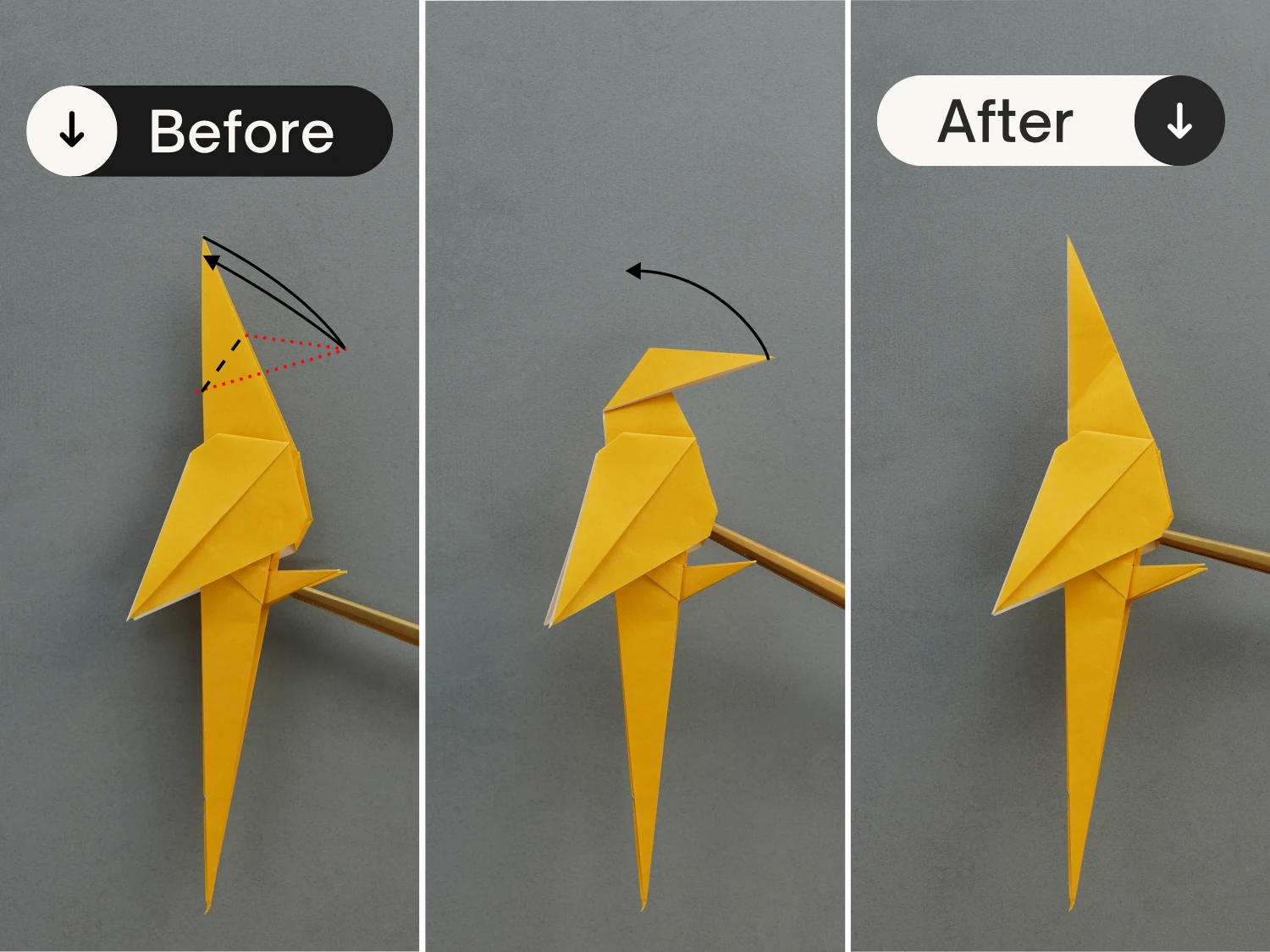 origami parrot| origamiok.com