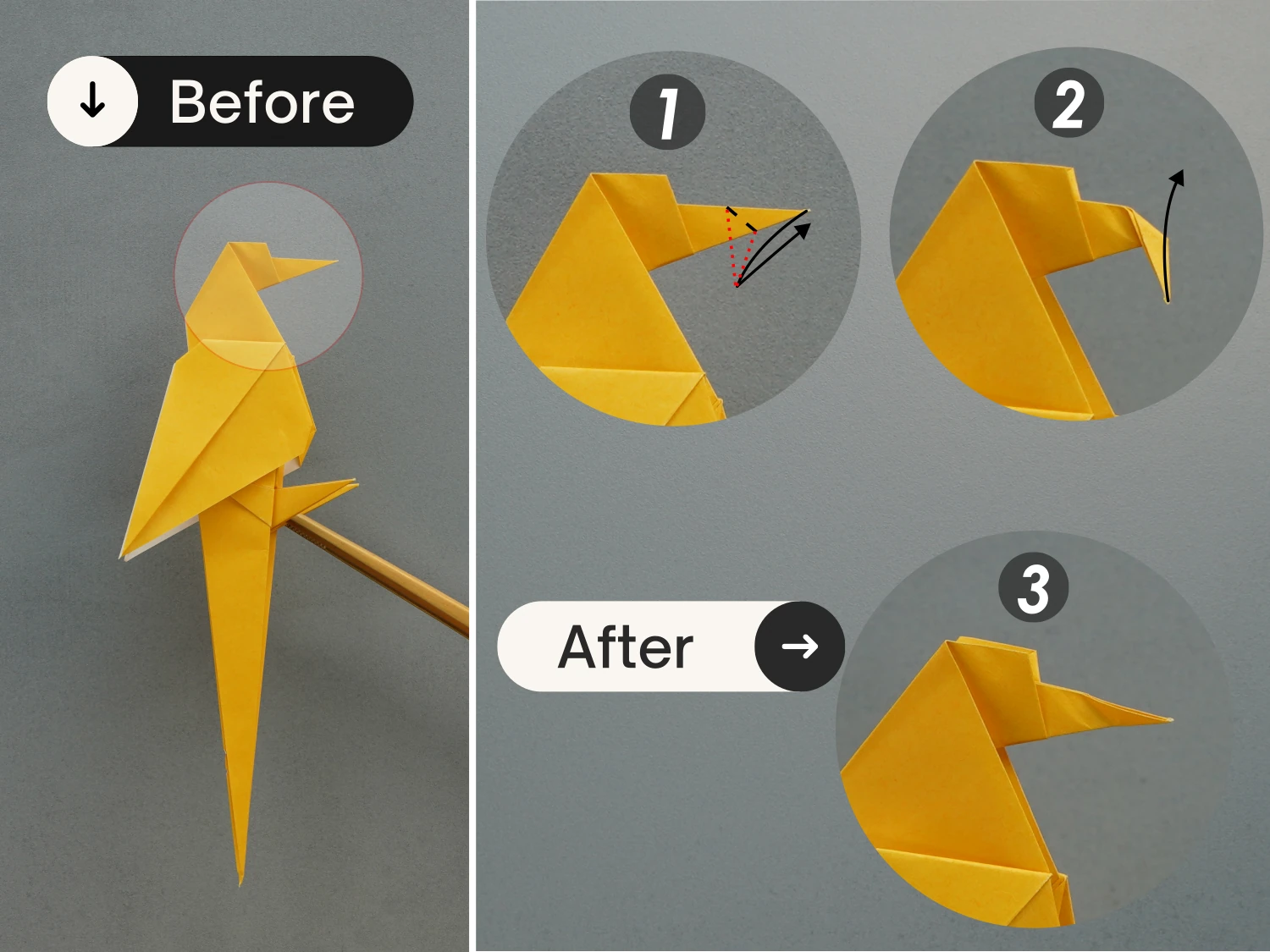 origami parrot| origamiok.com