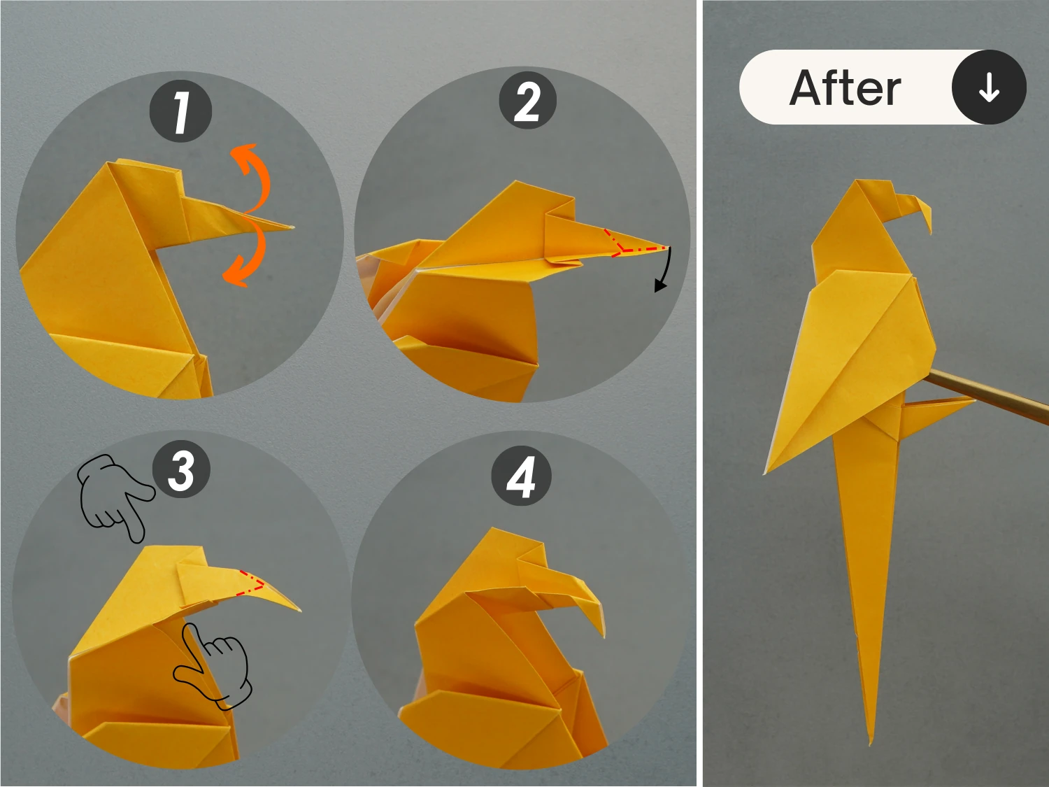 origami parrot| origamiok.com