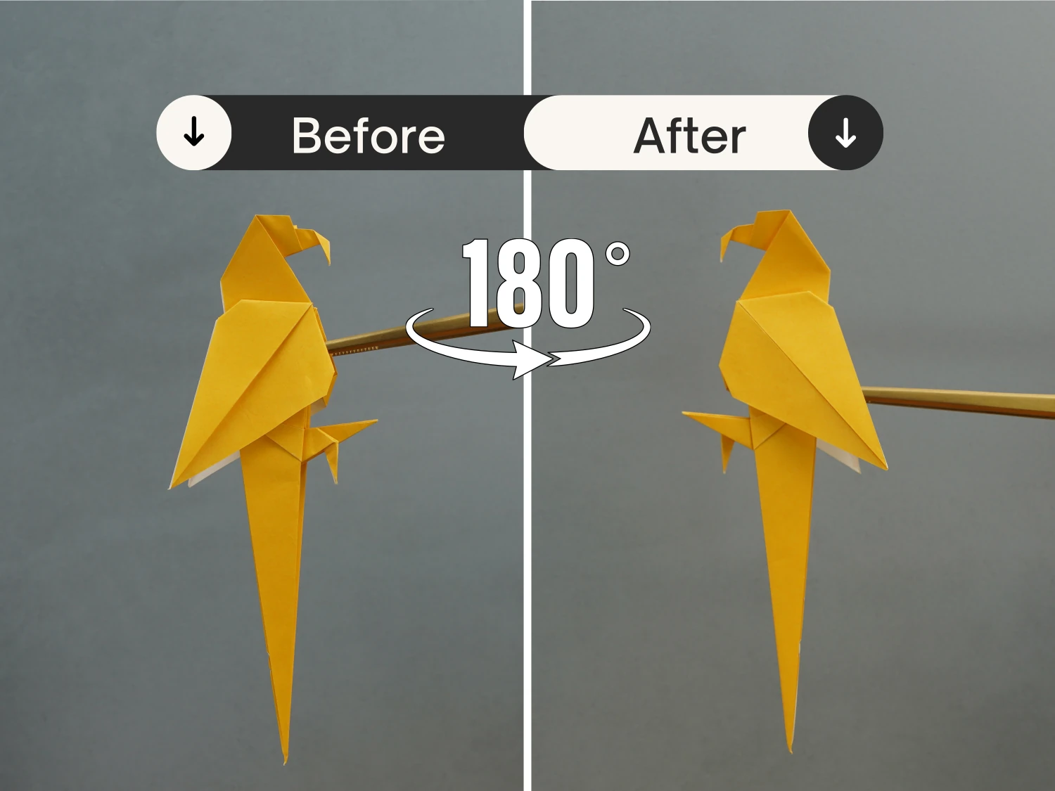 origami parrot| origamiok.com