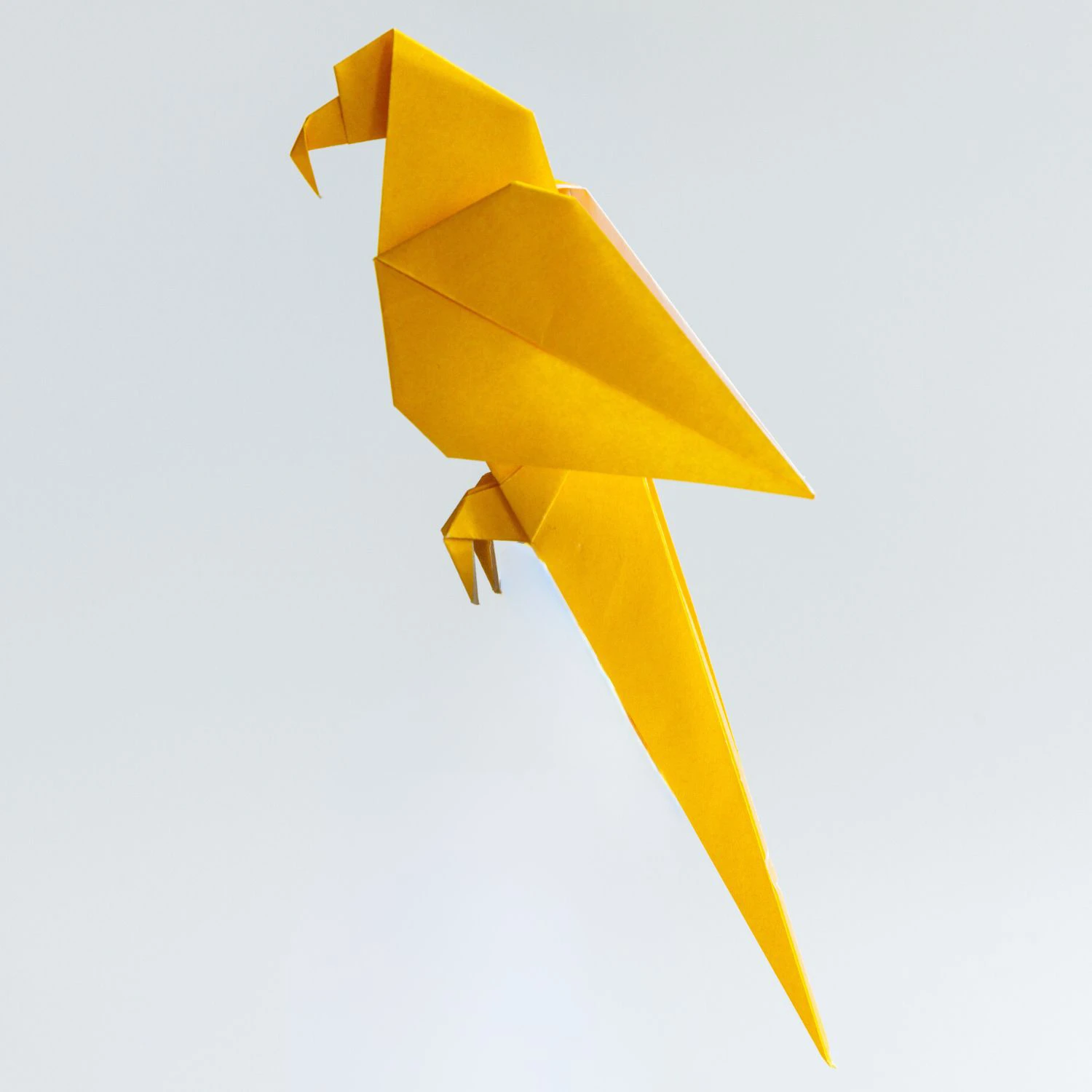 origami parrot | Origami Ok