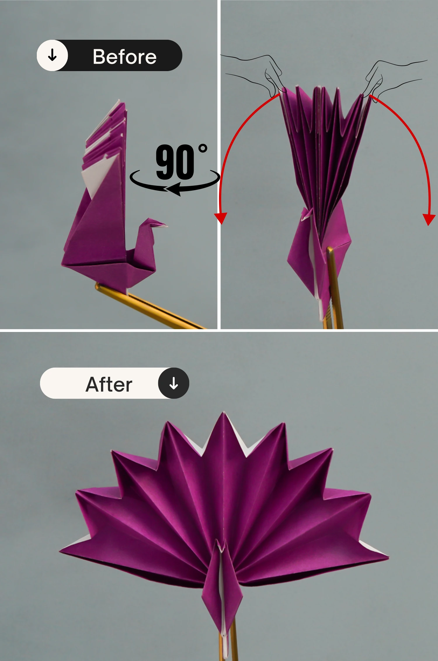 origami peacock| origamiok.com