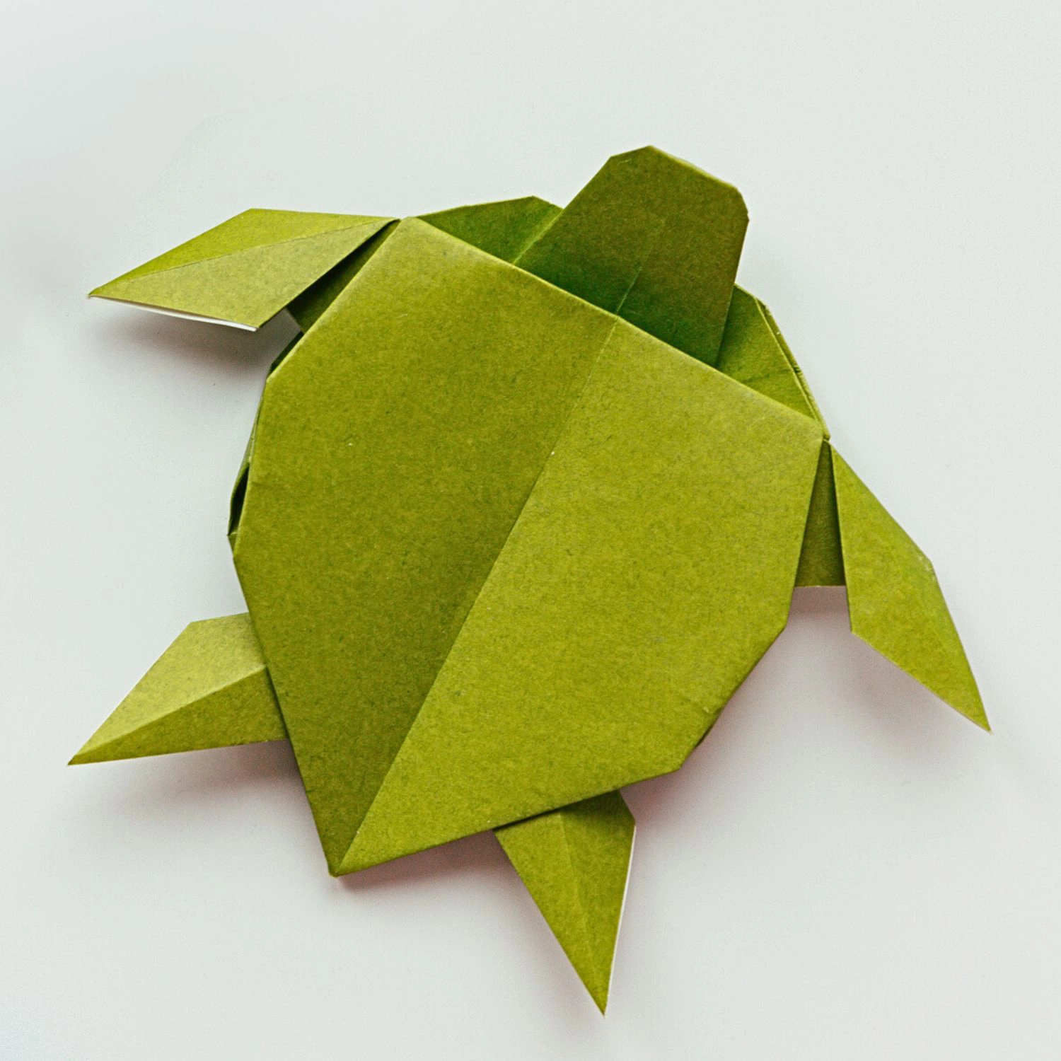 origami sea turtle | origamiok.com