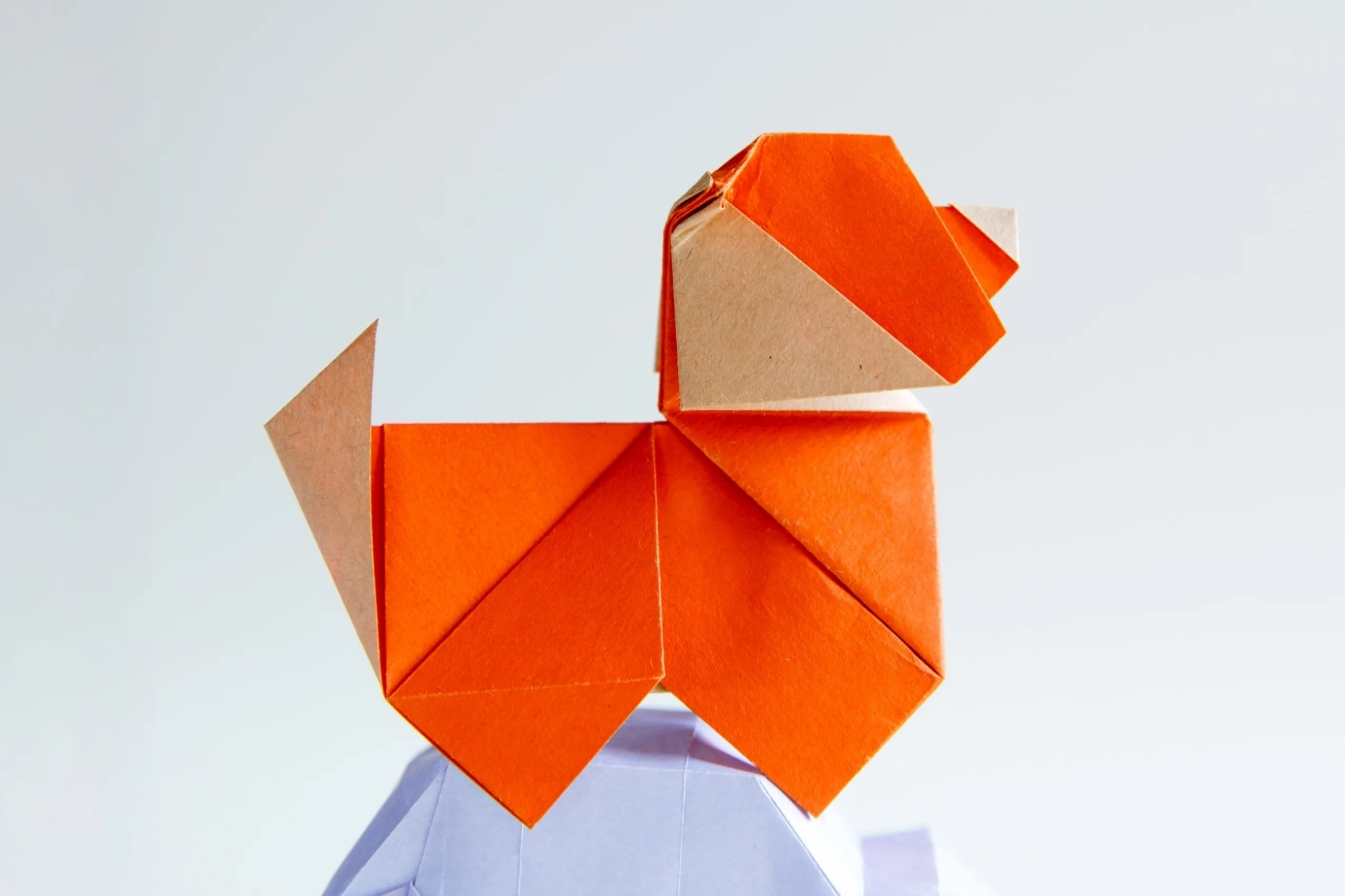 Origami Dog | Origamiok