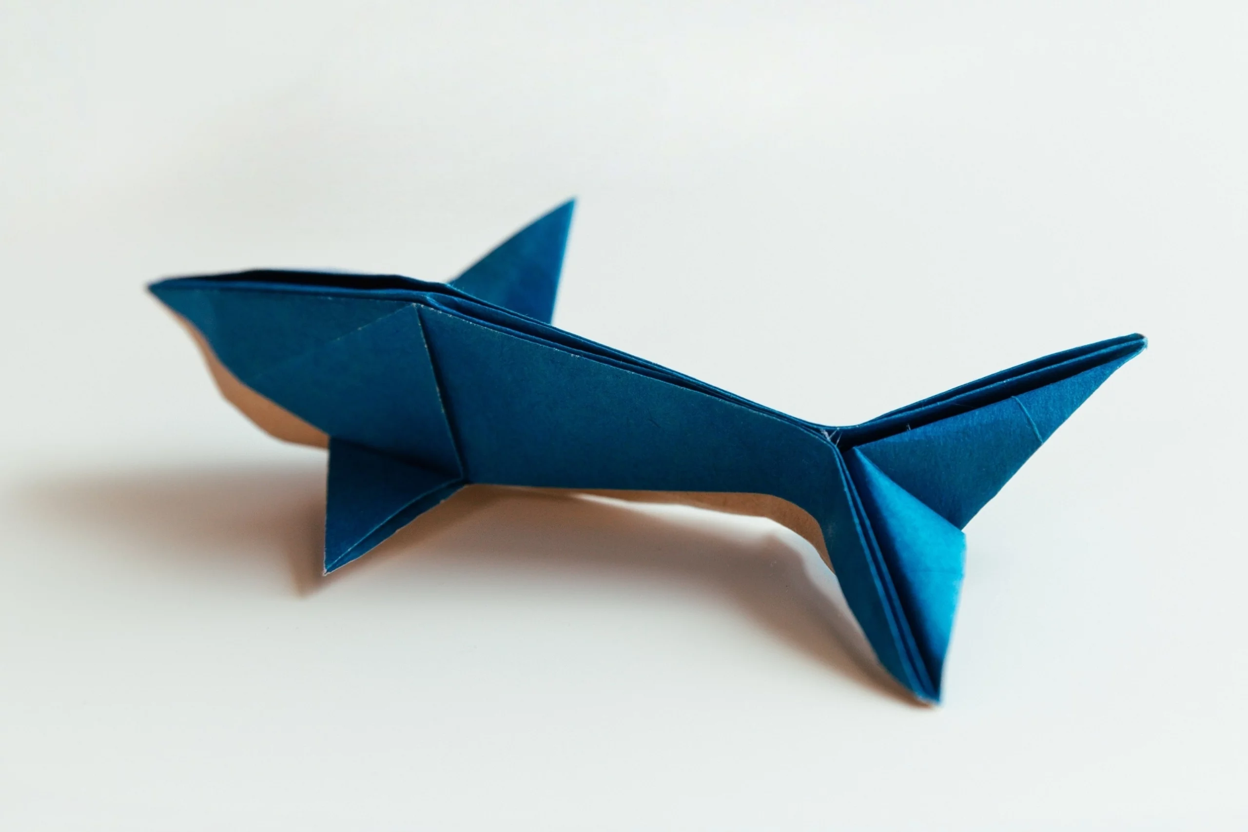 Origami Dolphin | Origamiok