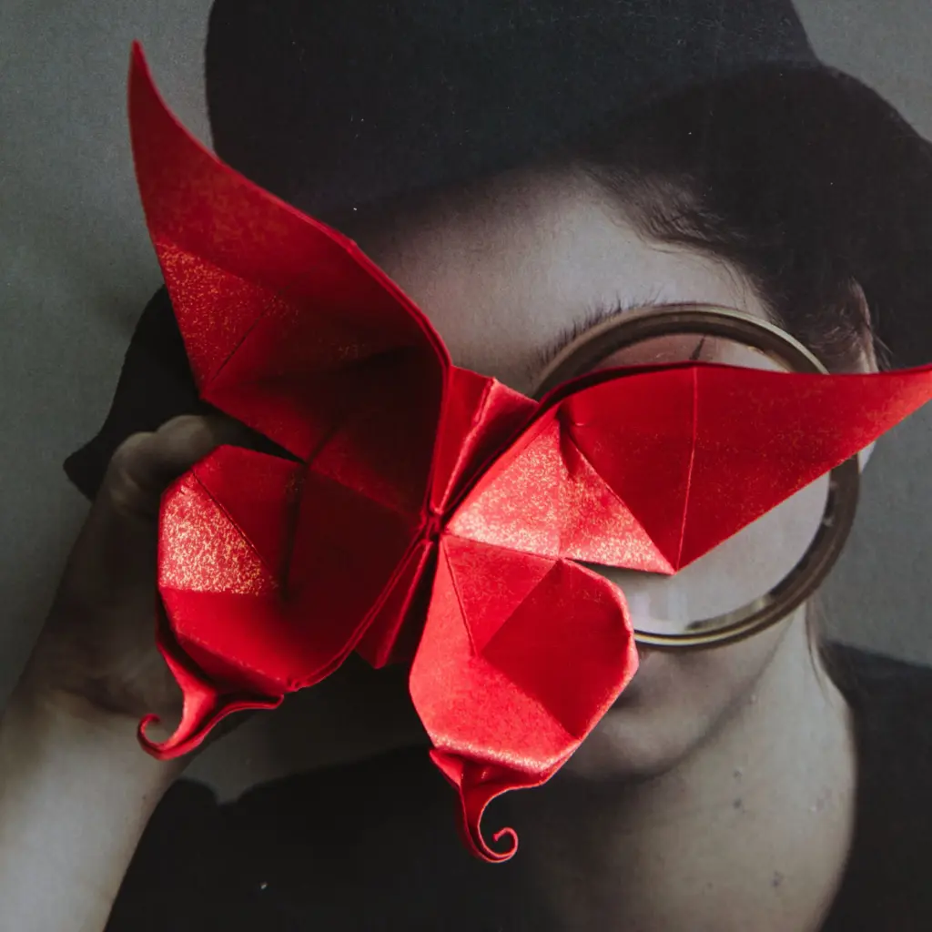 origami butterfly | origamiok