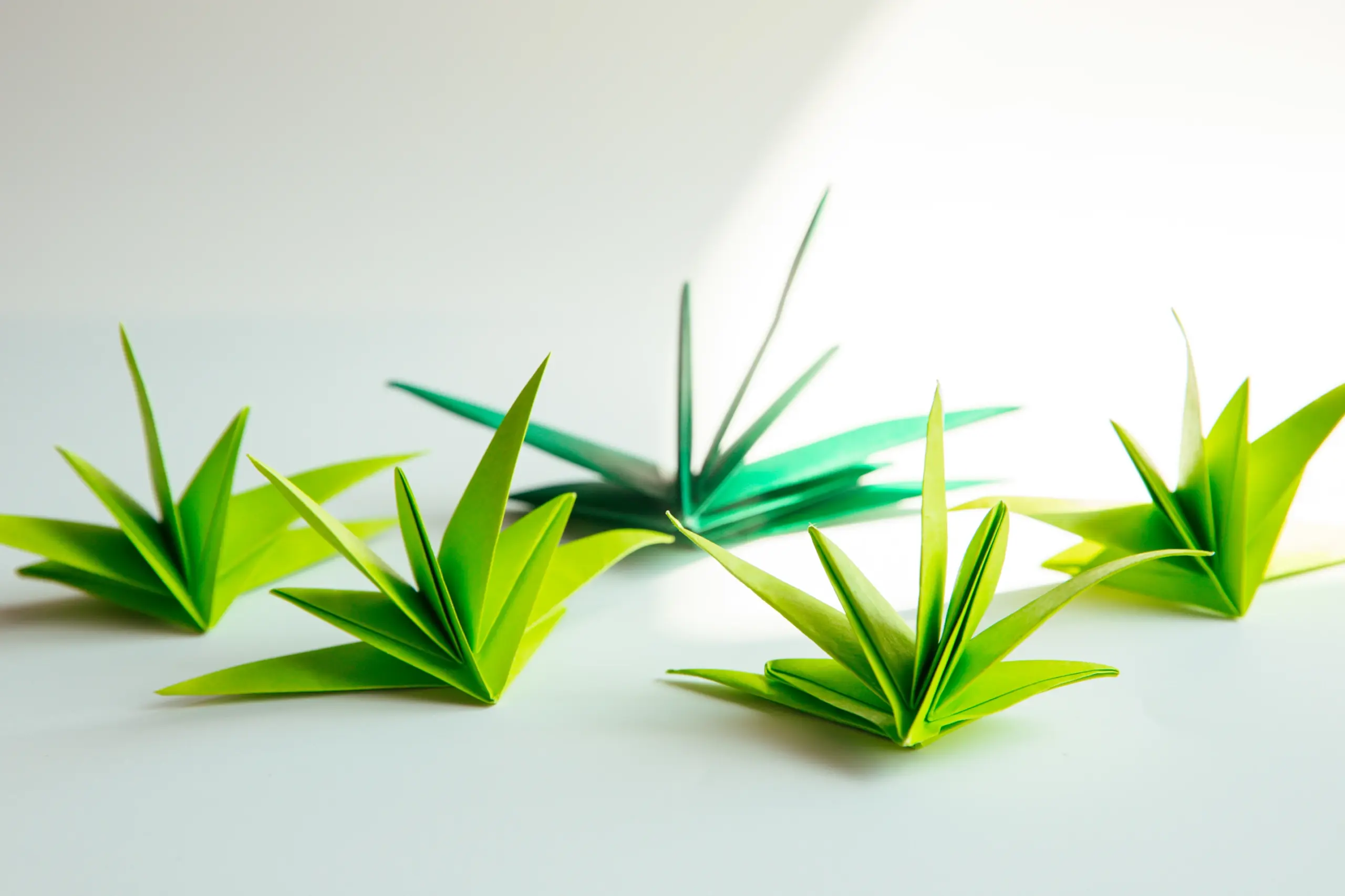 Origami grass | OrigamiOk