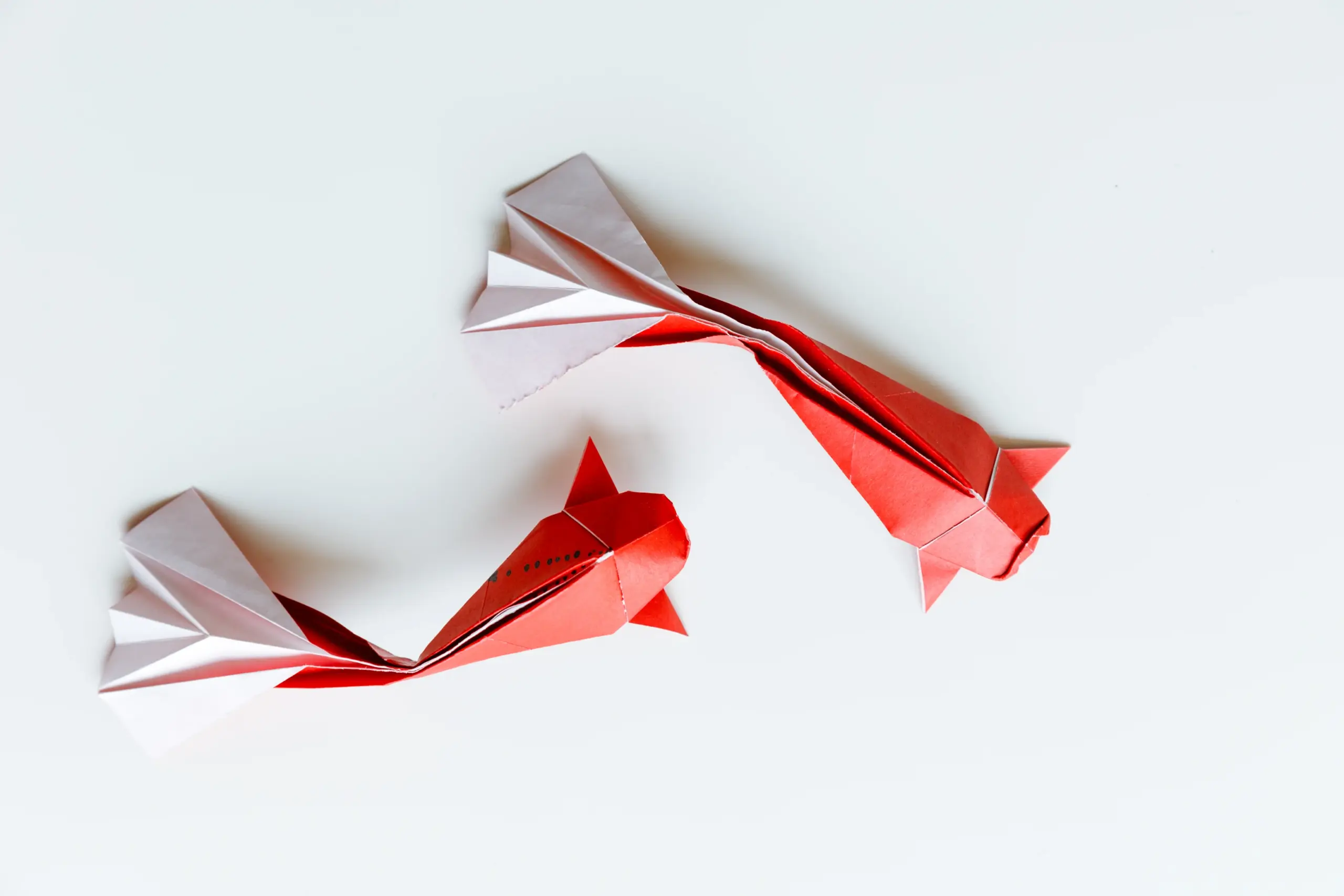 origami koi fish | origamiok