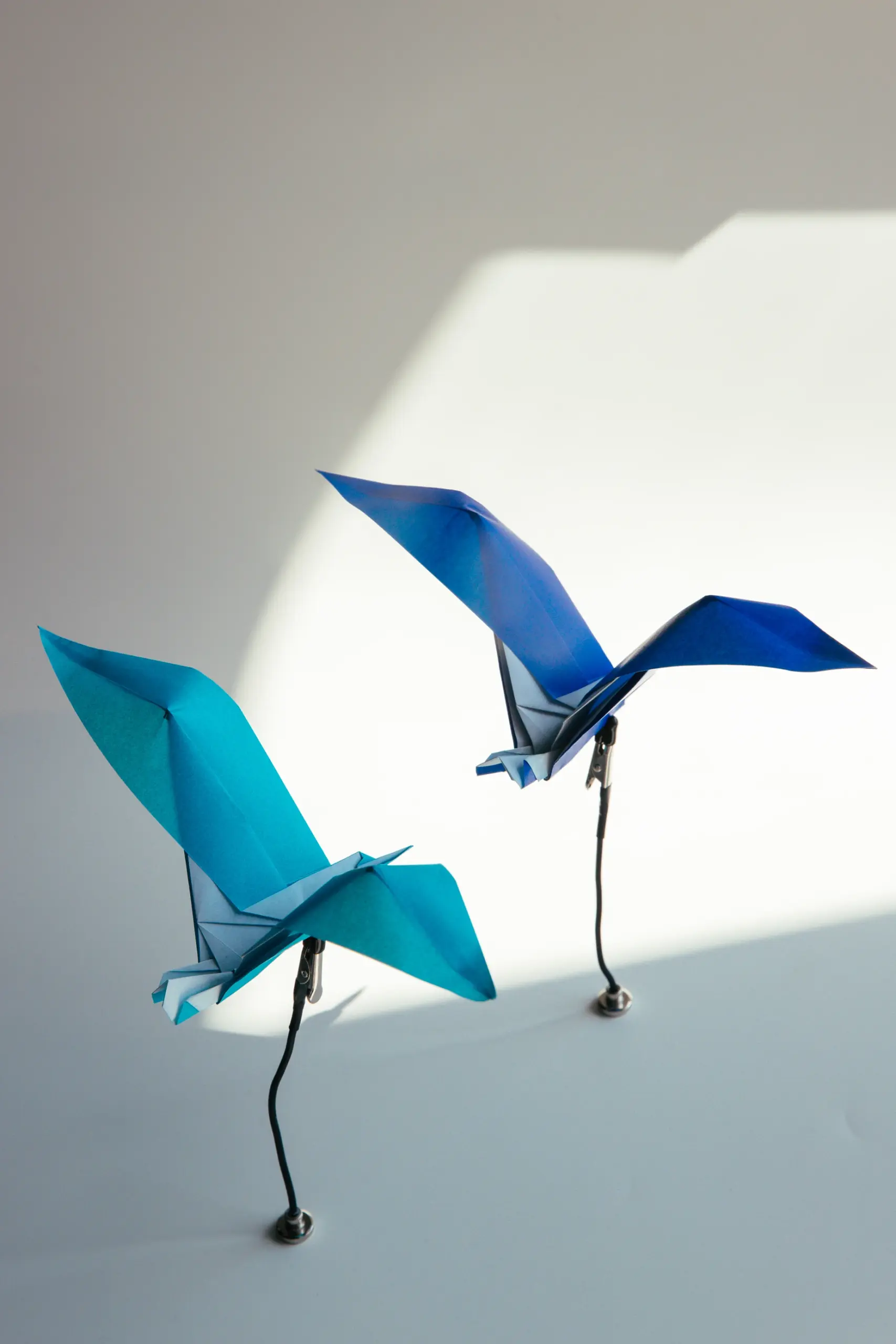 origami seagull | origamiok