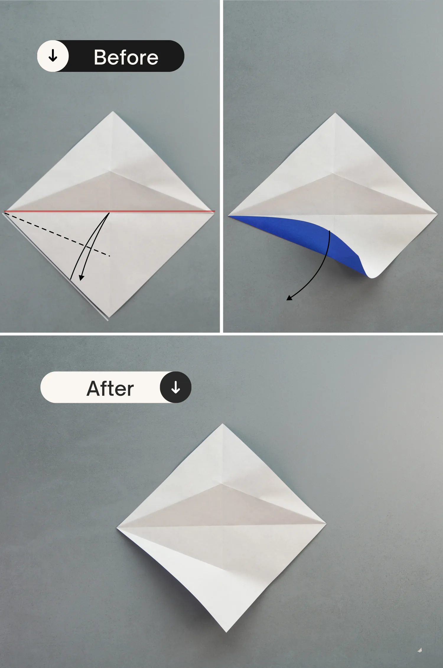 origami seagull| origamiok