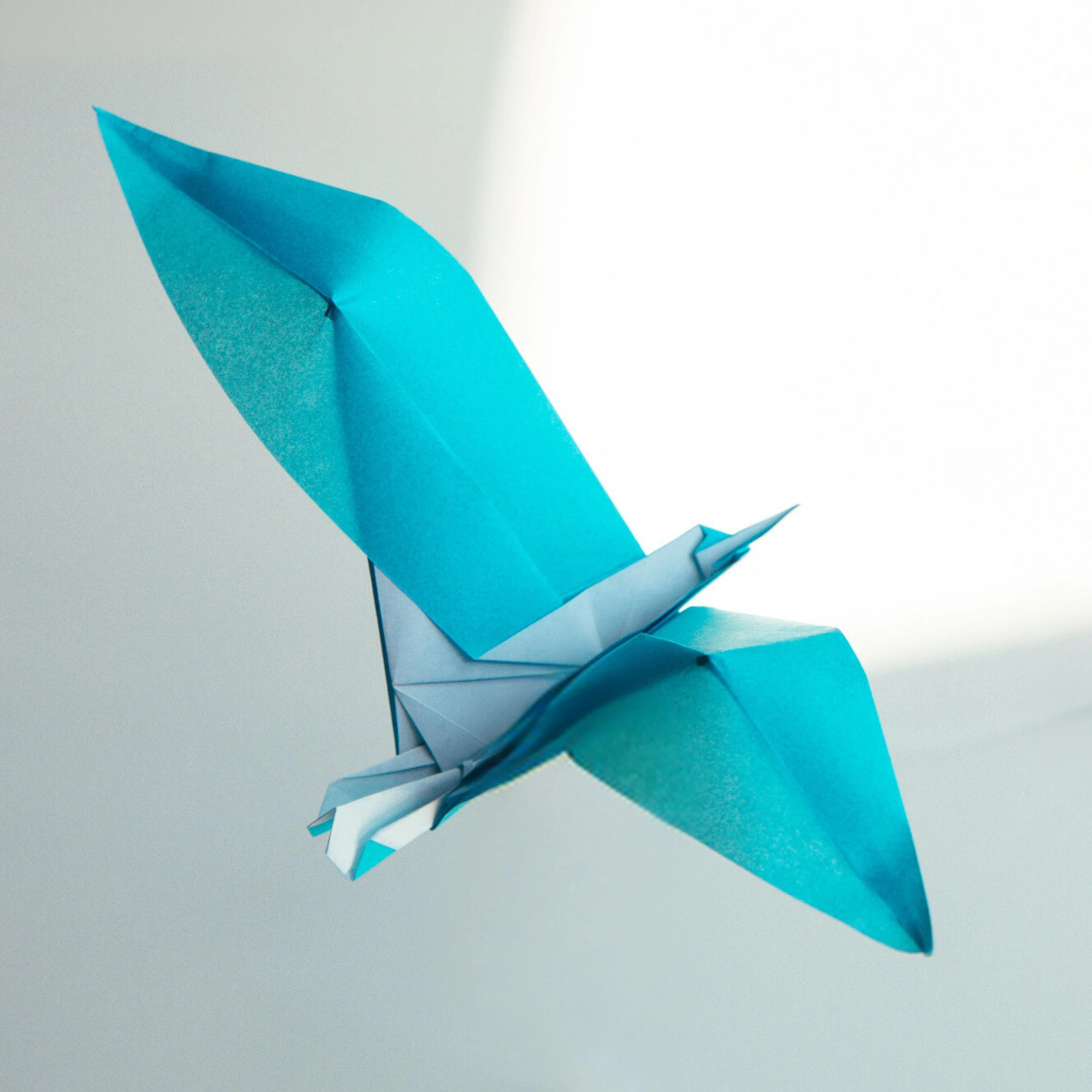 origami seagull | origamiok