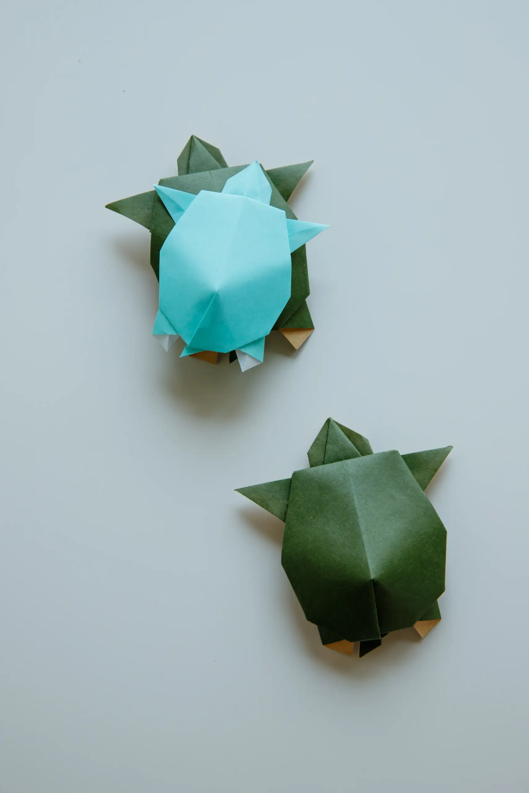 origami turtle | origamiok