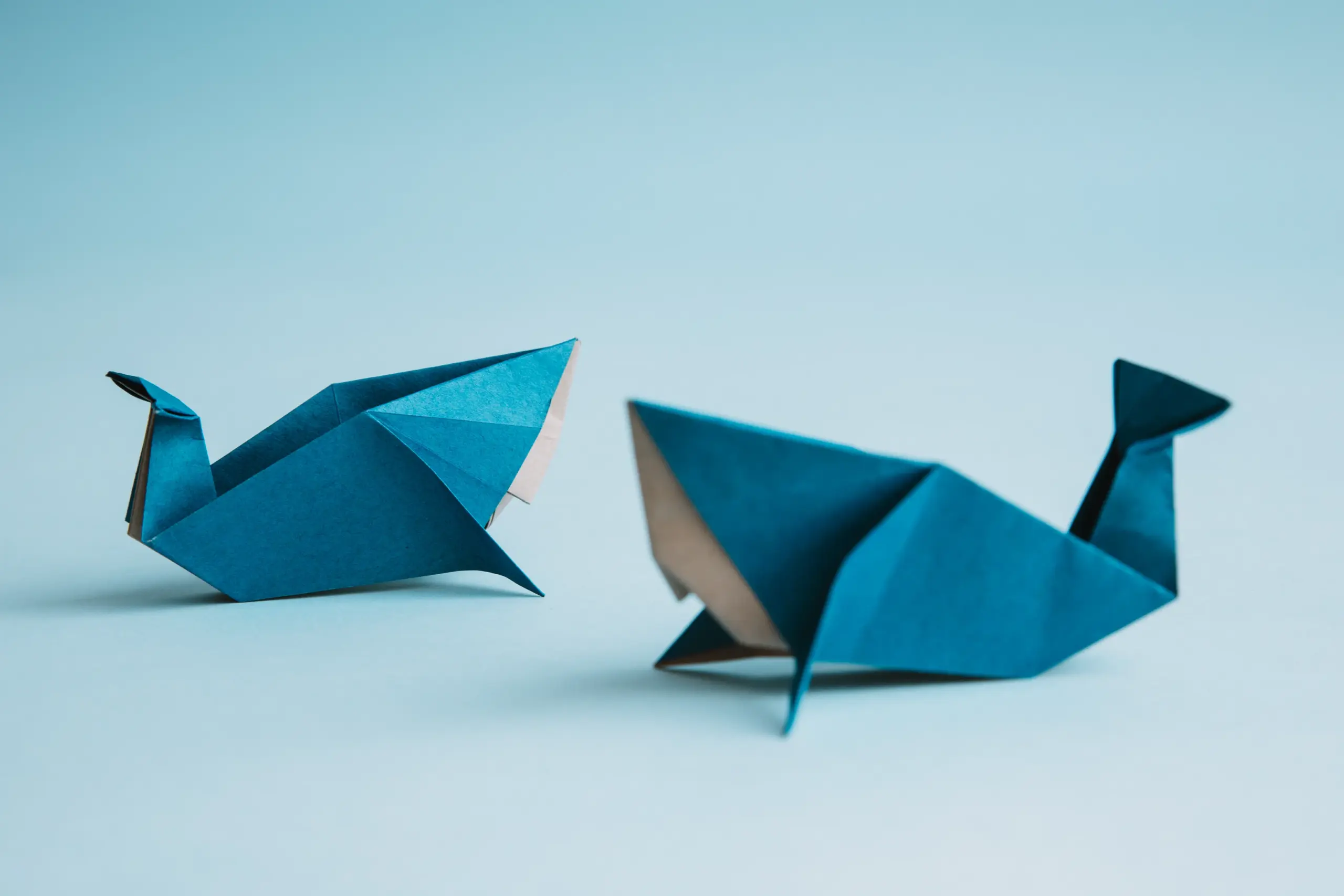 origami whale | origamiok