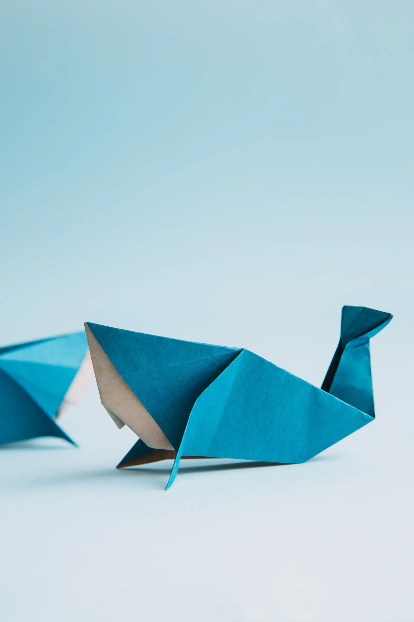 origami whale | origamiok