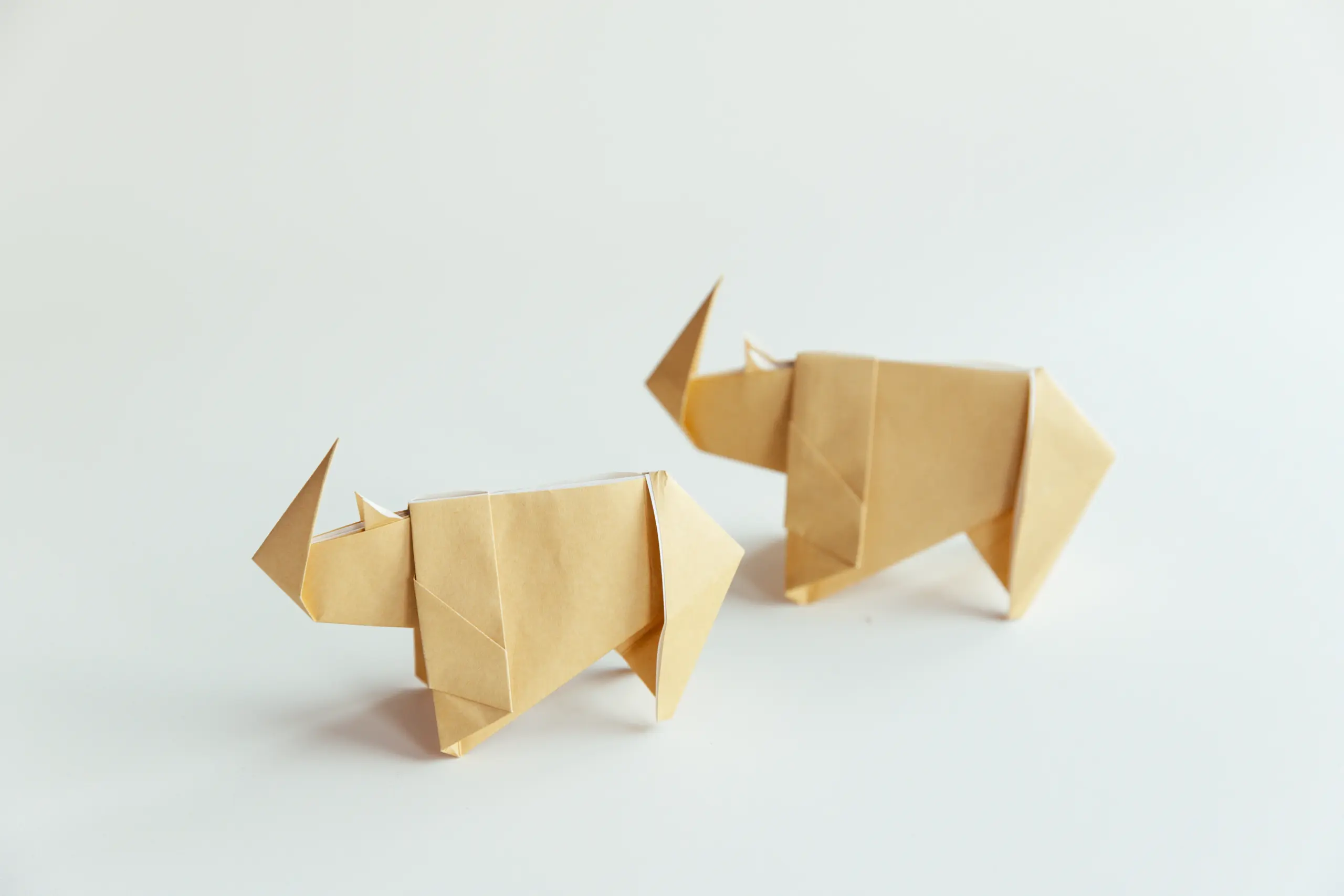 origami rhinoceros | origamiok