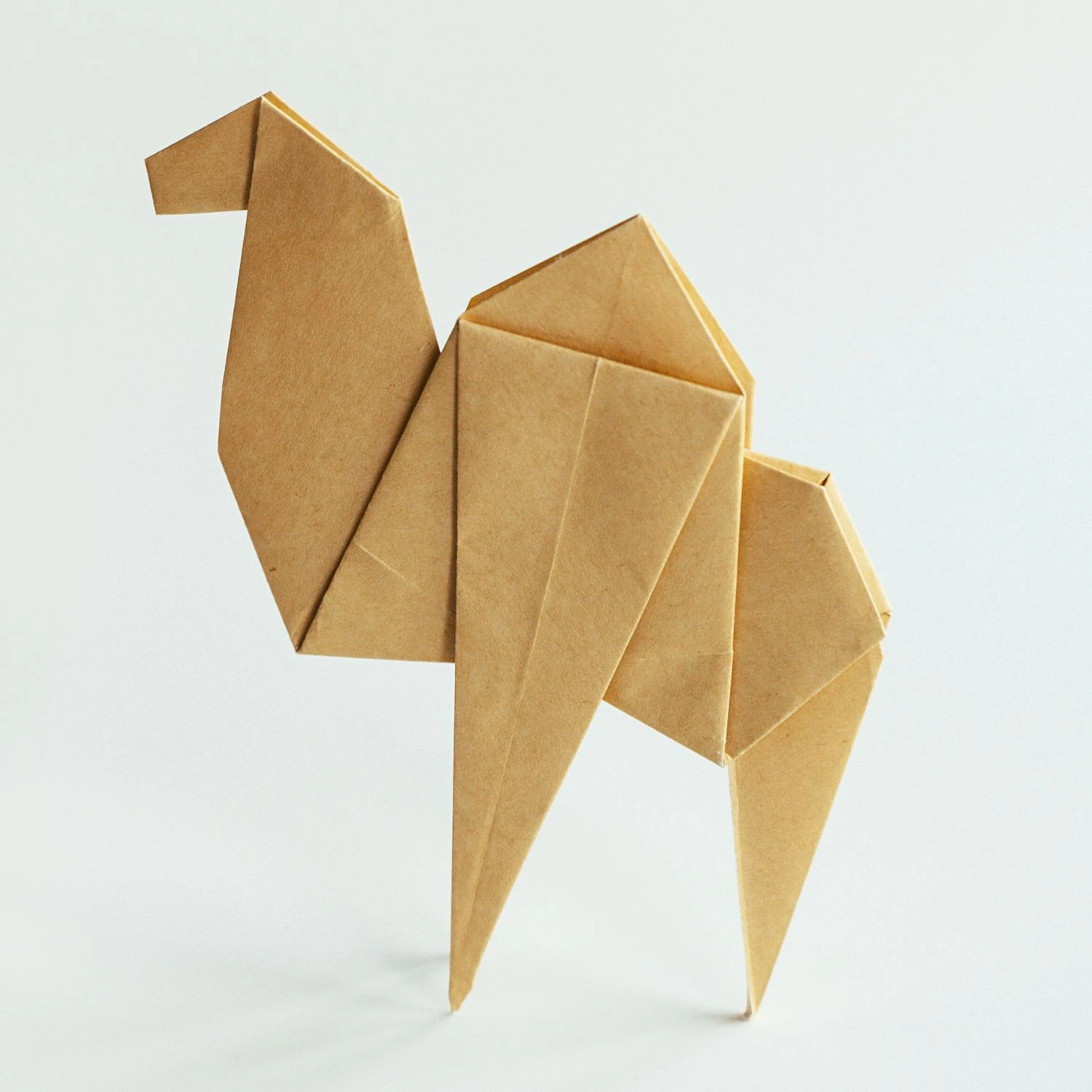 How to Make an Origami Camel - OrigamiOK