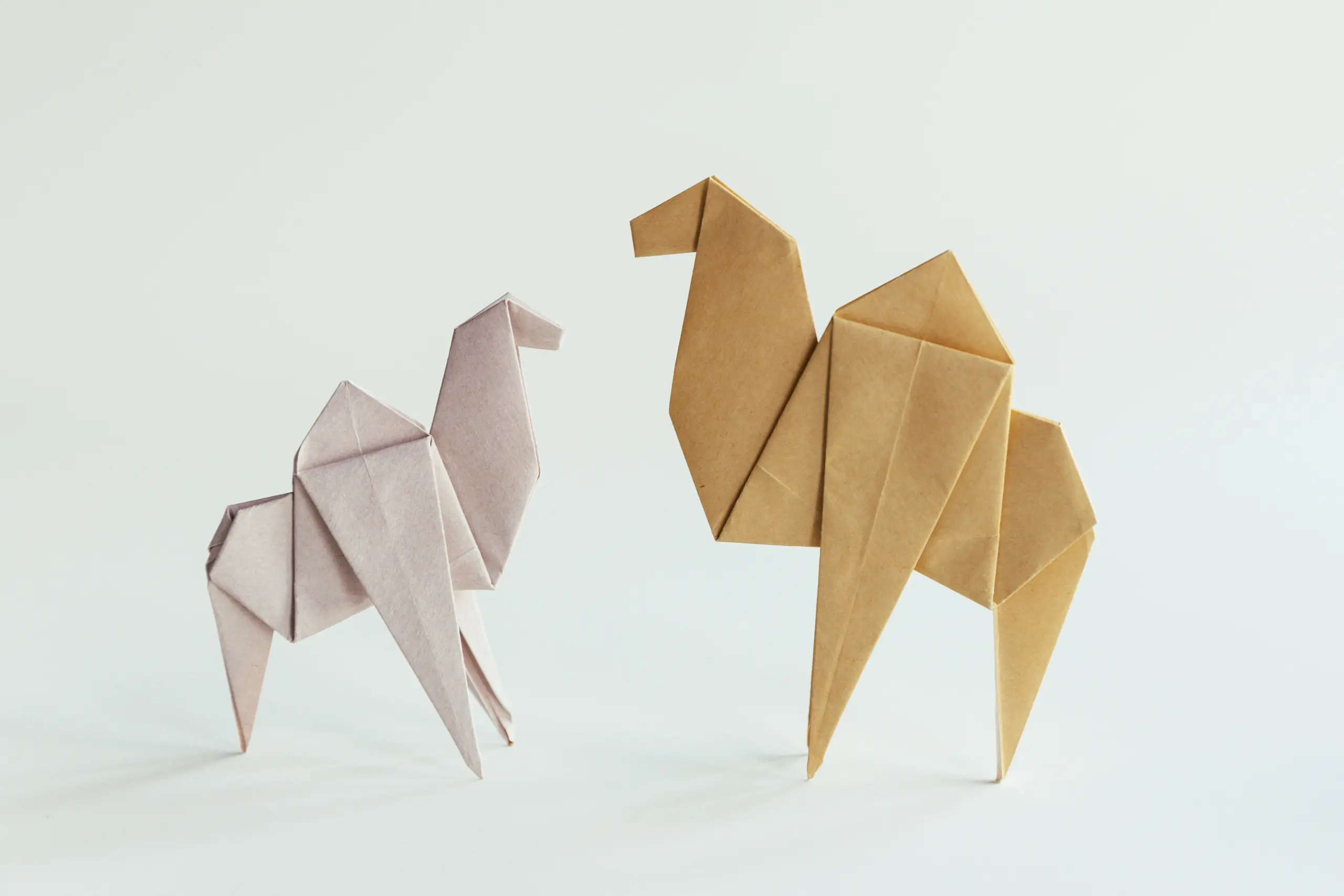 origami camel | origamiok