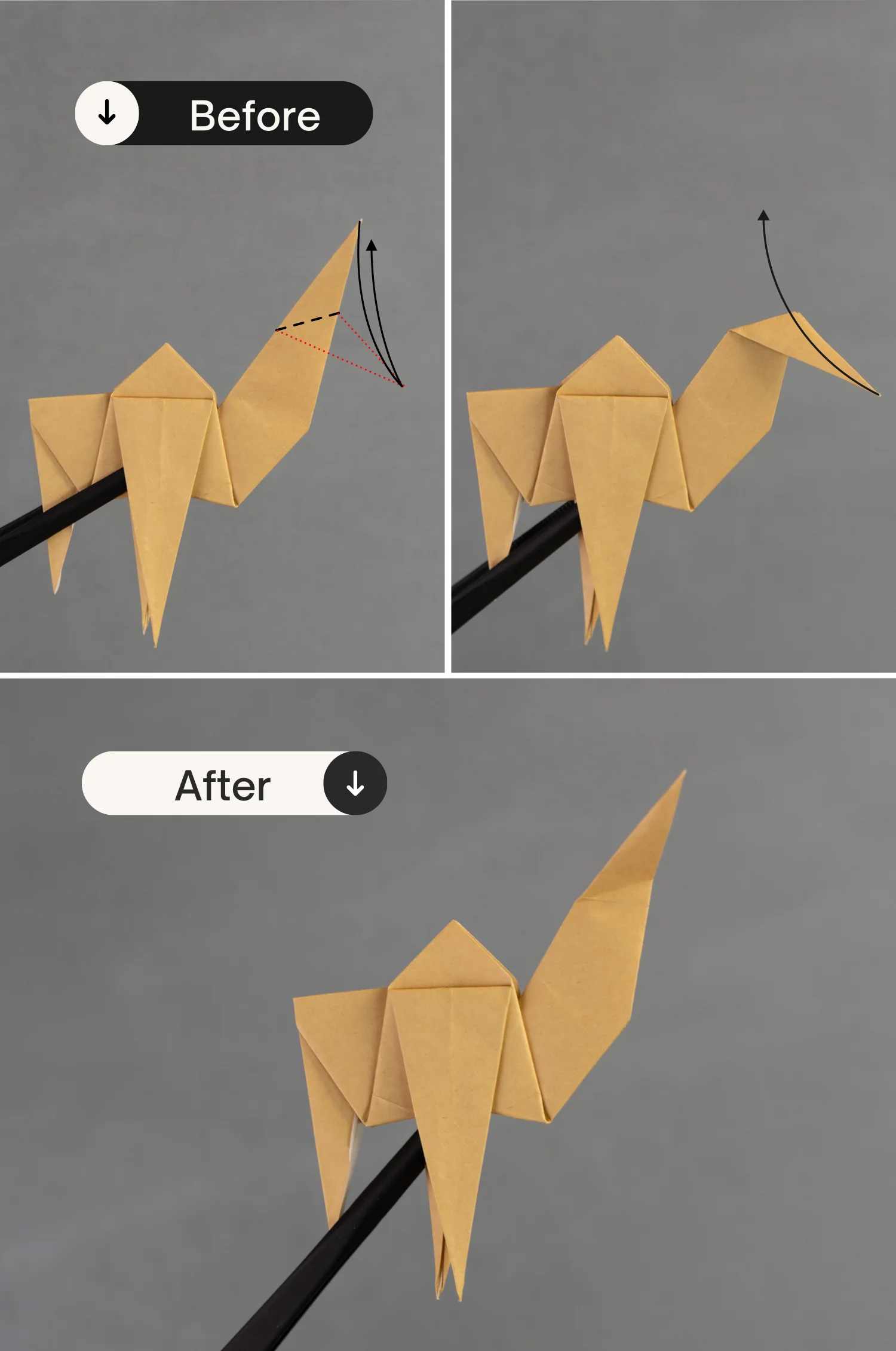 origami camel | origamiok