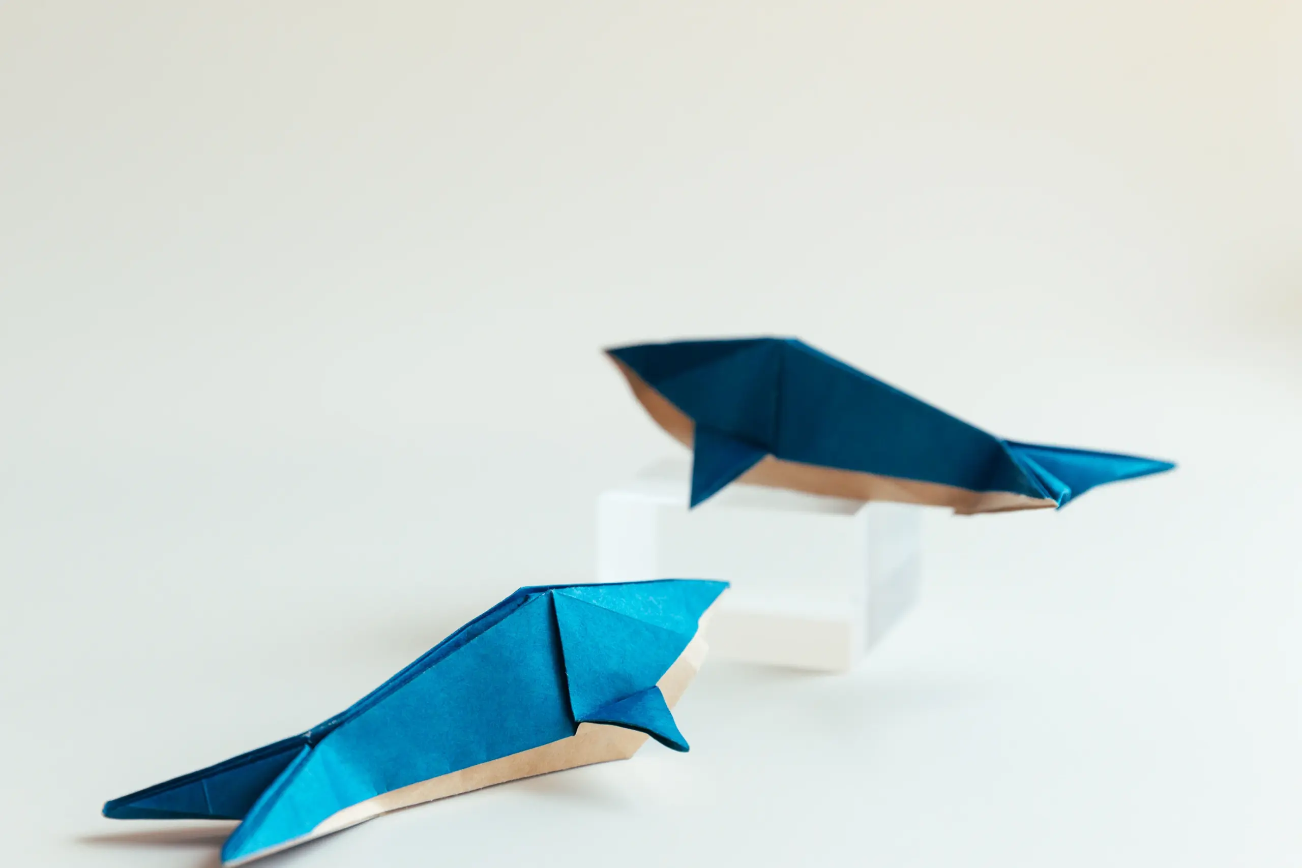 origami dolphin | origamiok