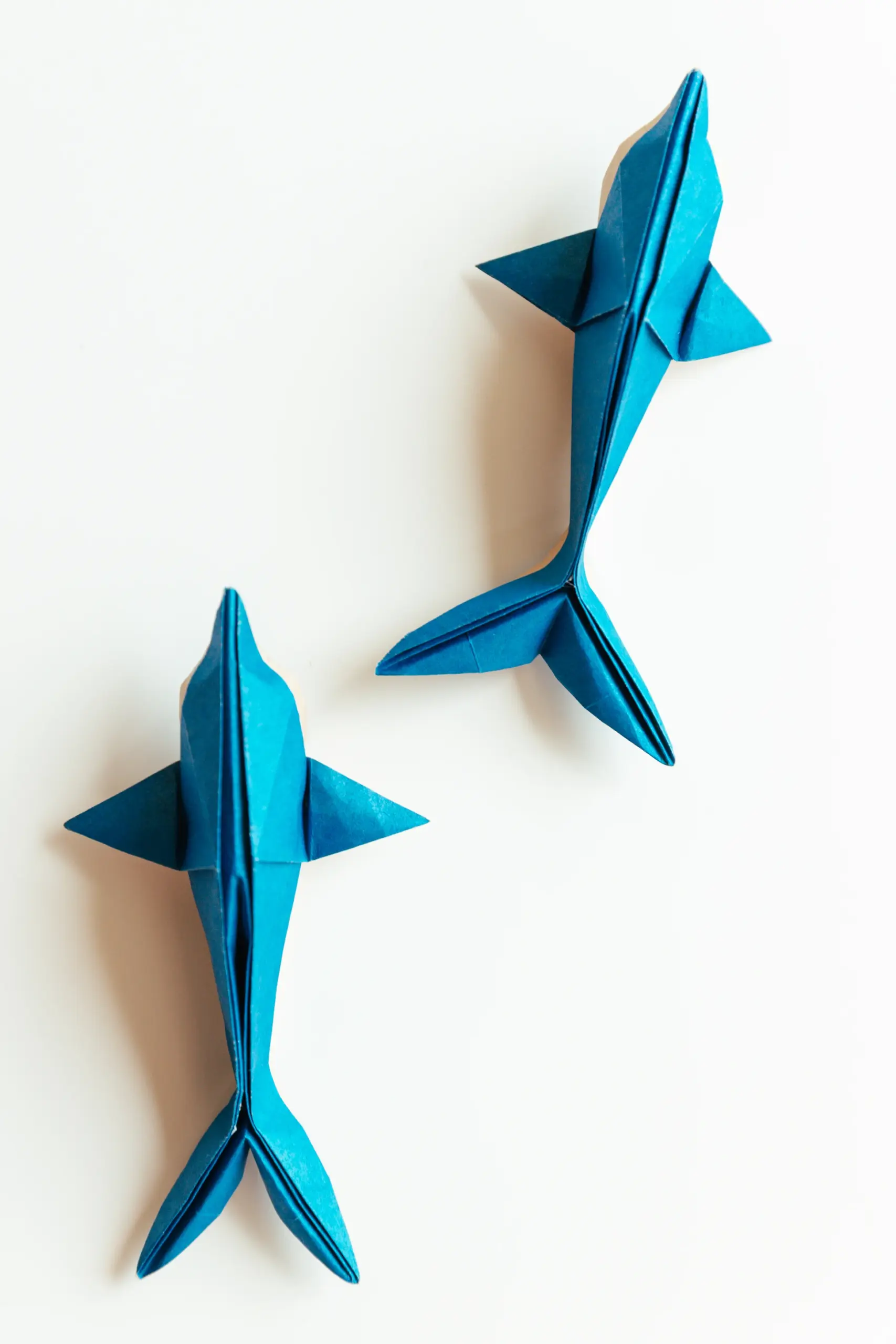 origami dolphin | origamiok