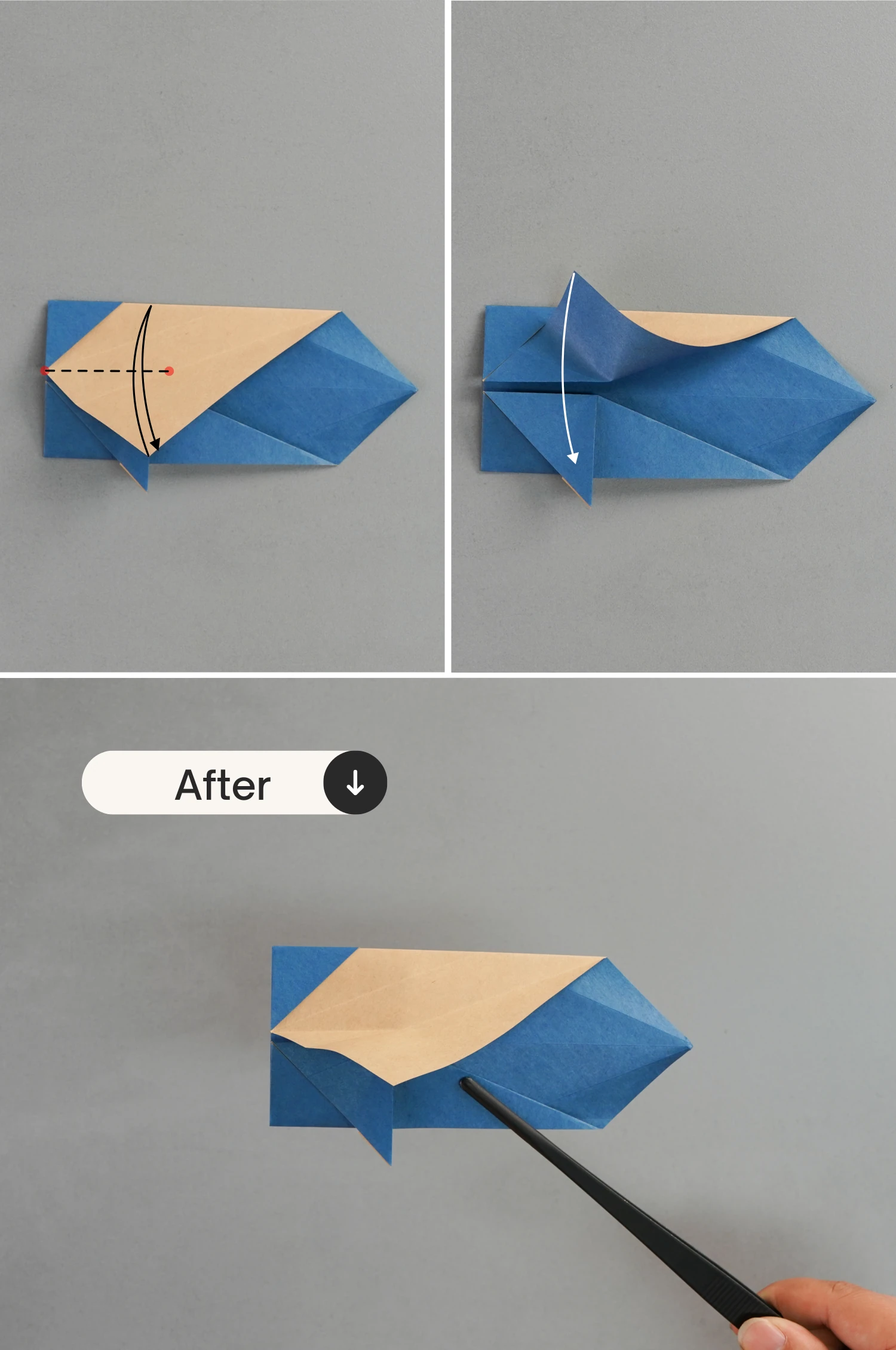 origami dolphin | origamiok