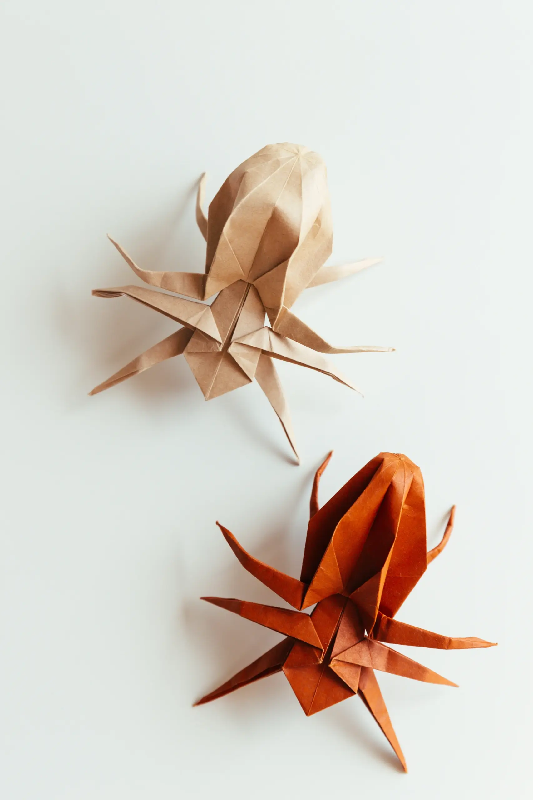 origami spider | origamiok