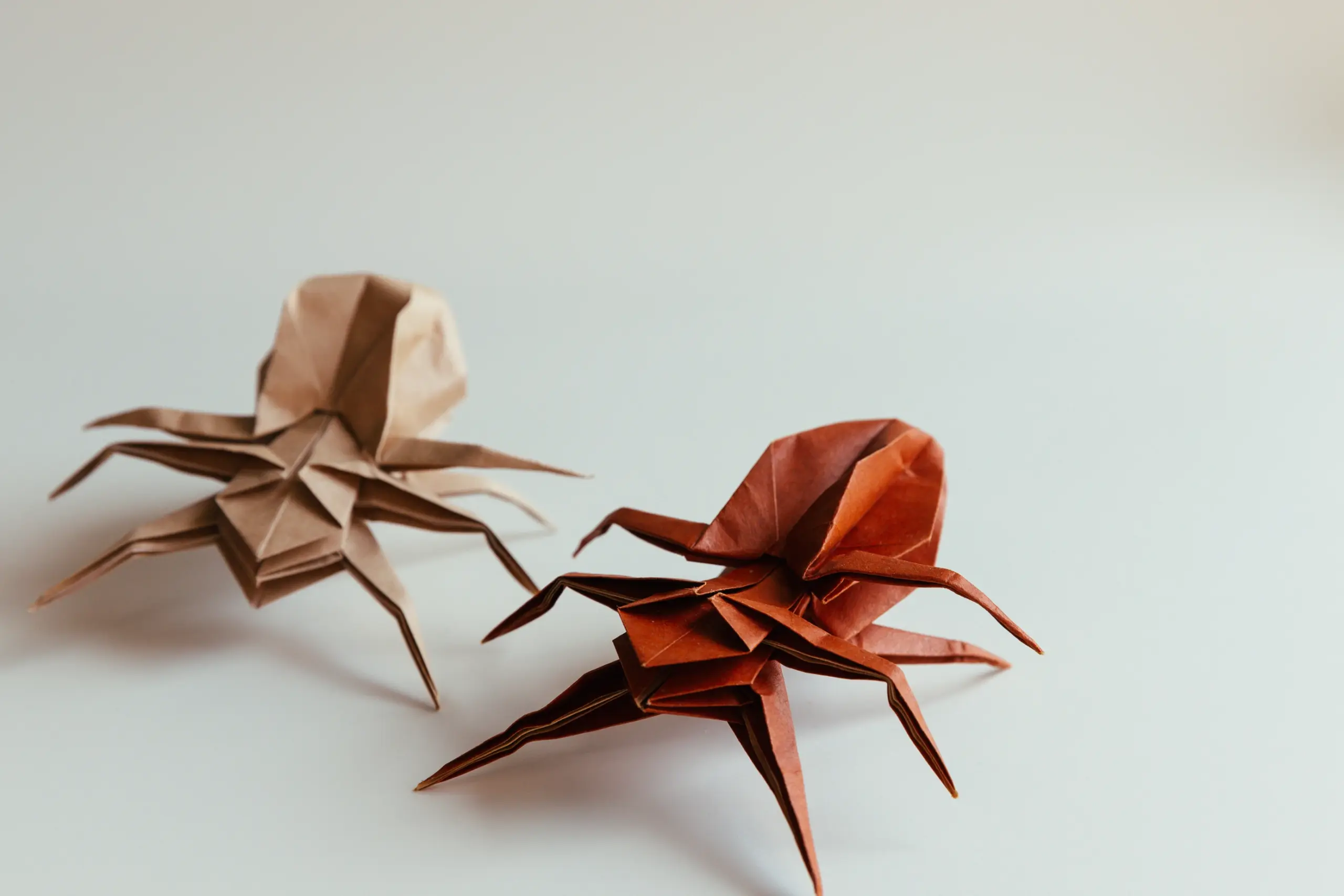 origami spider | origamiok