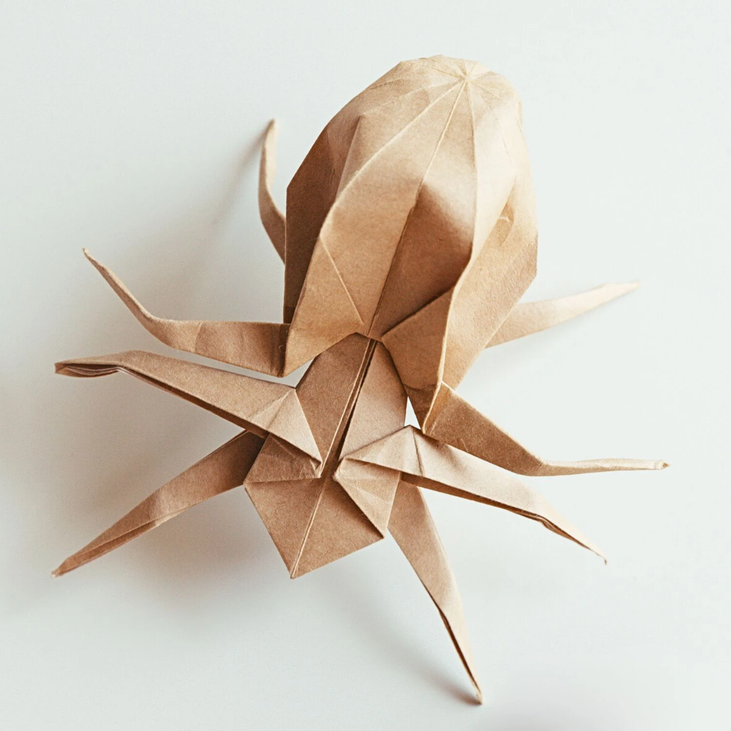 origami spider | origamiok