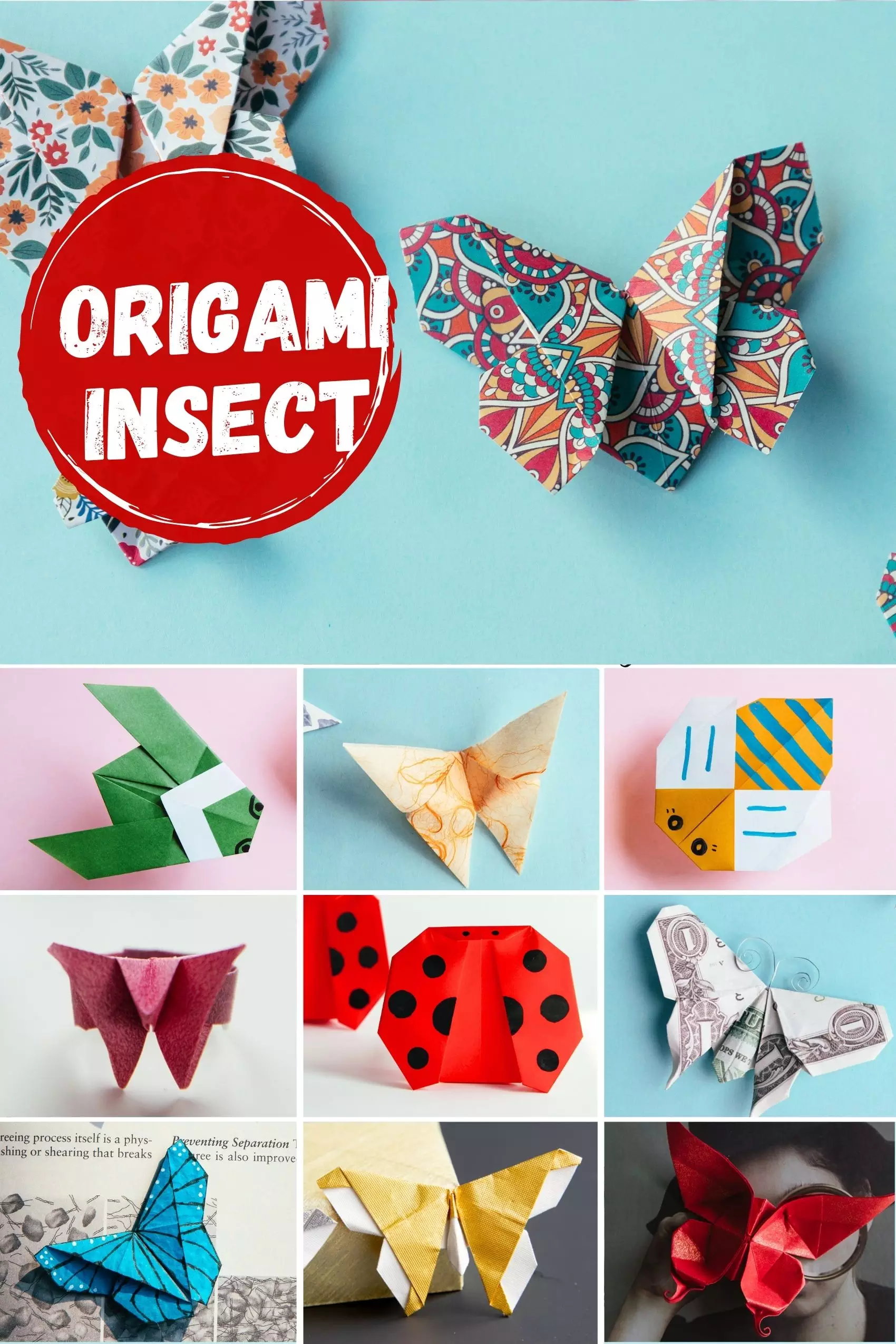 Origami Insect Step by Step Instructions