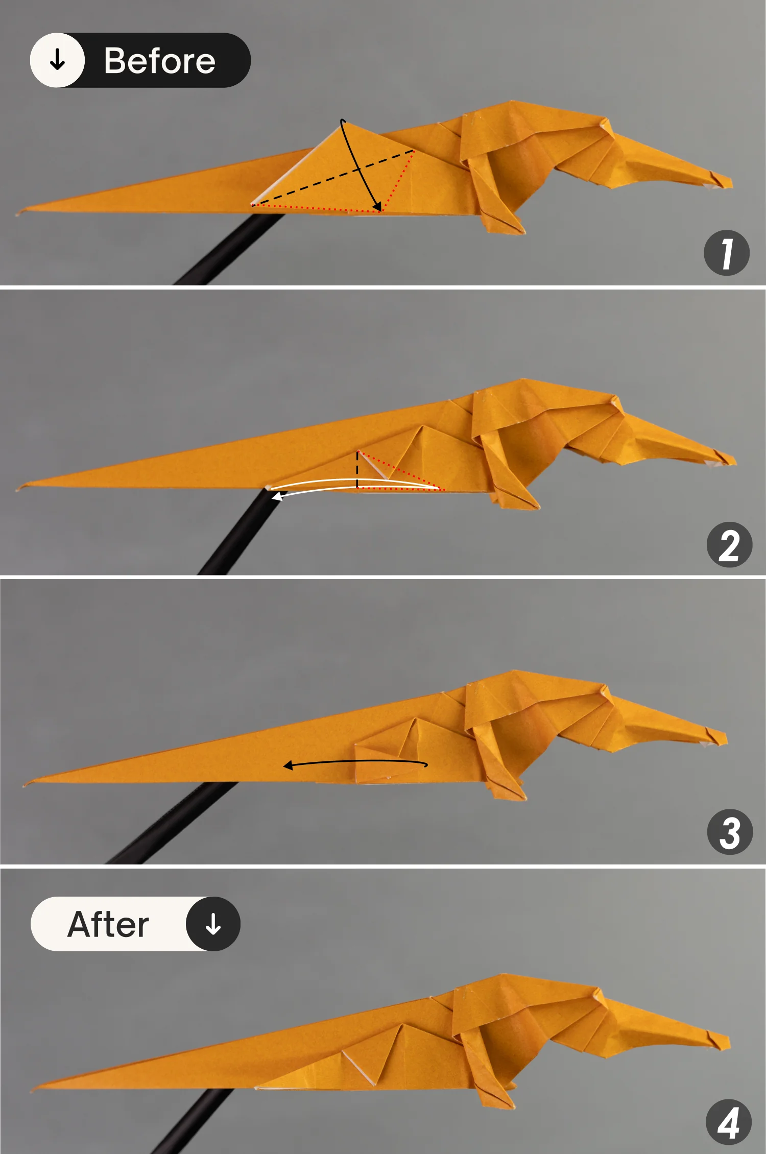 Lift the layer as the first picture shows, then fold the edge indicated by the white line toward the right side along the black dotted line, and next, fold the right point of this folded layer to the left side, getting one of the crocodile's forelimbs.