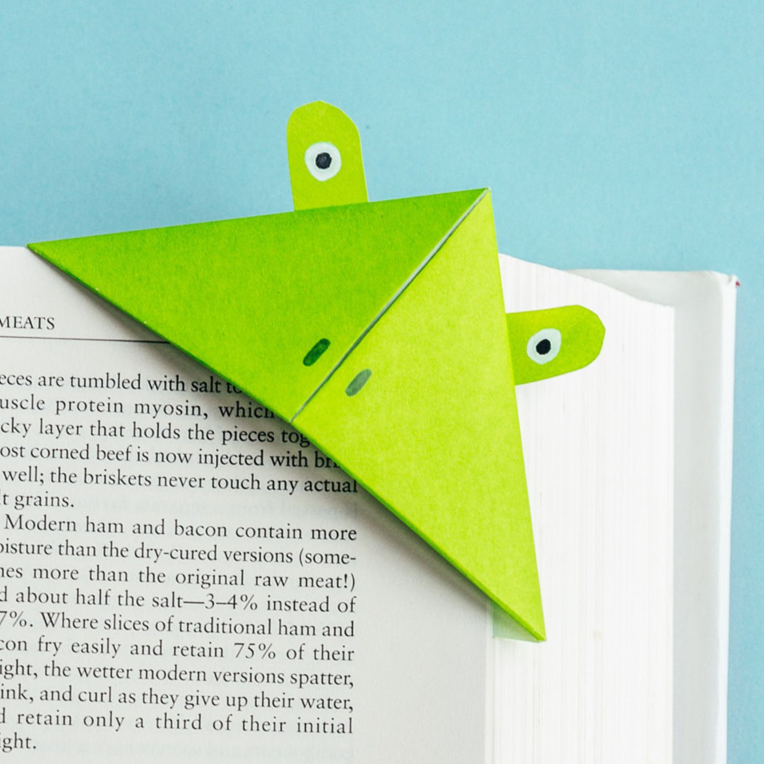 Origami frog bookmark | origamiok