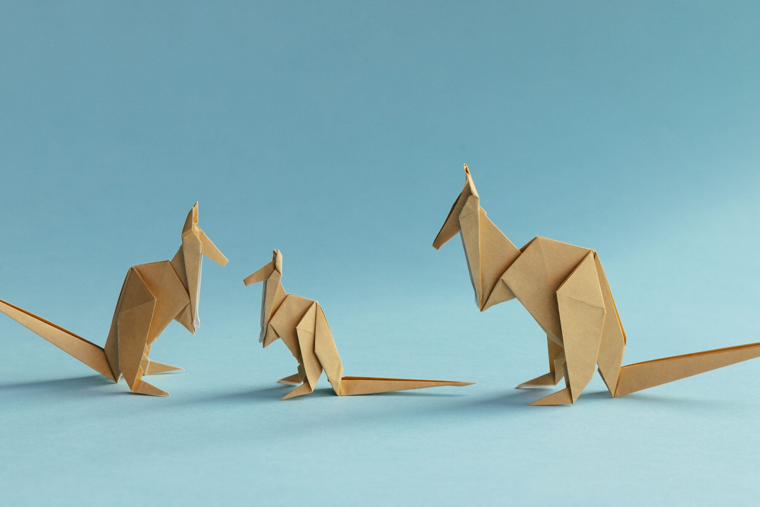 Origami kangaroo | origamiok