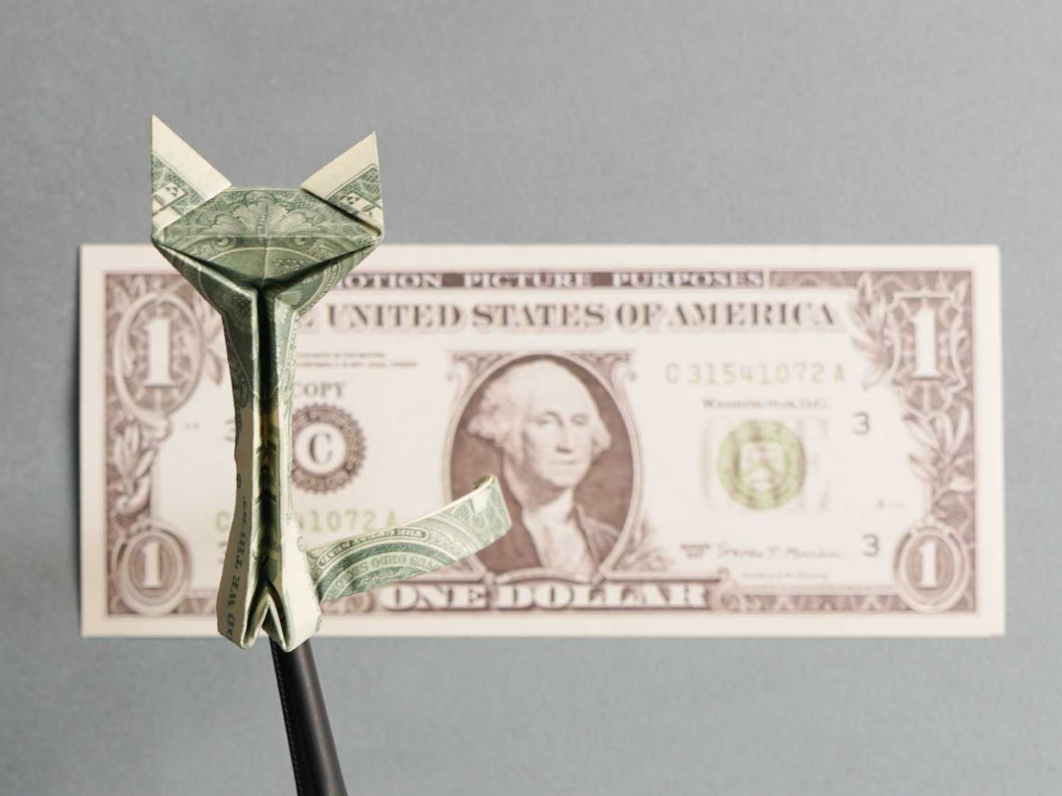 origami money cat | origamiok