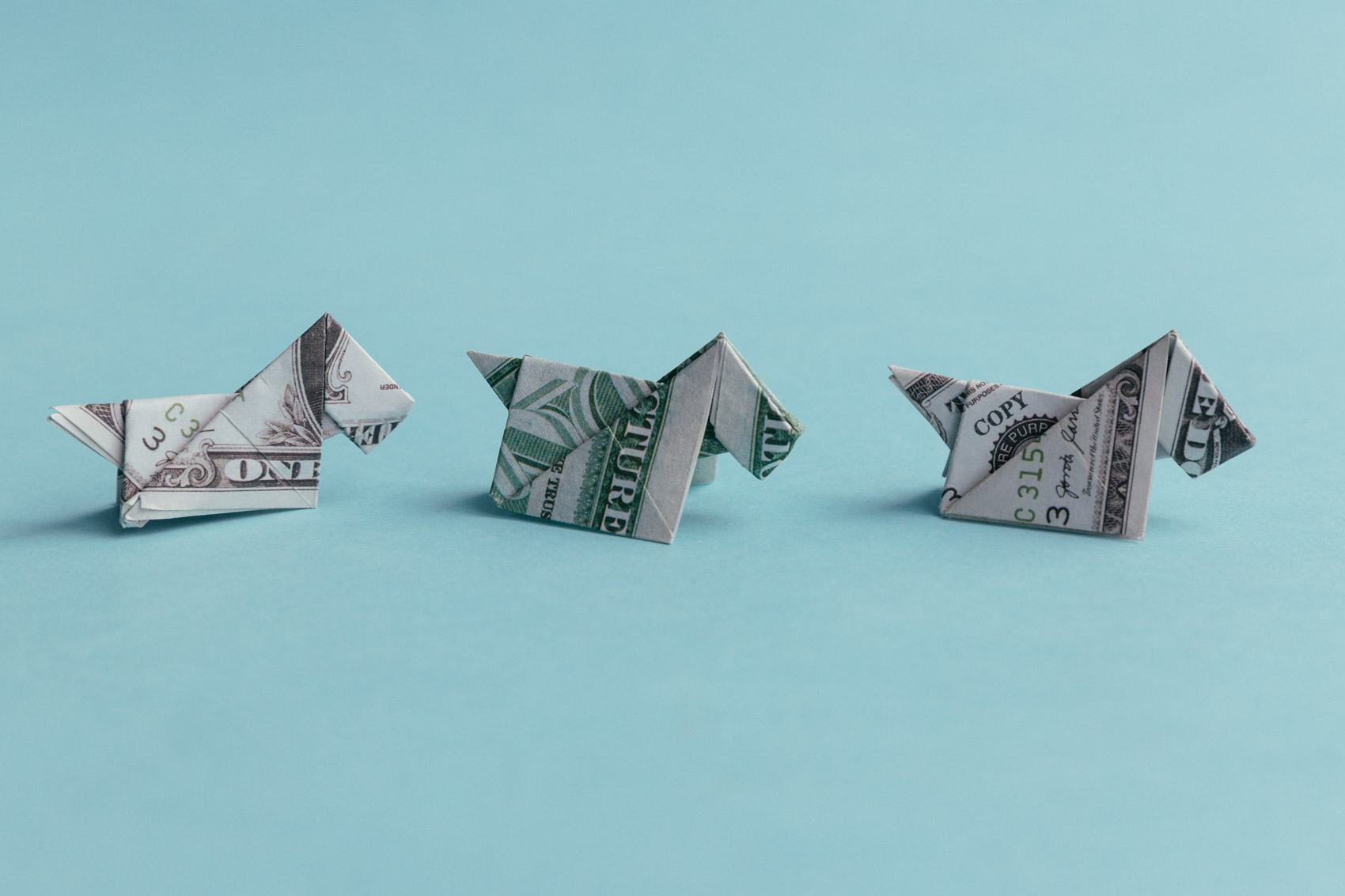 dollar bill origami dog | origamiok